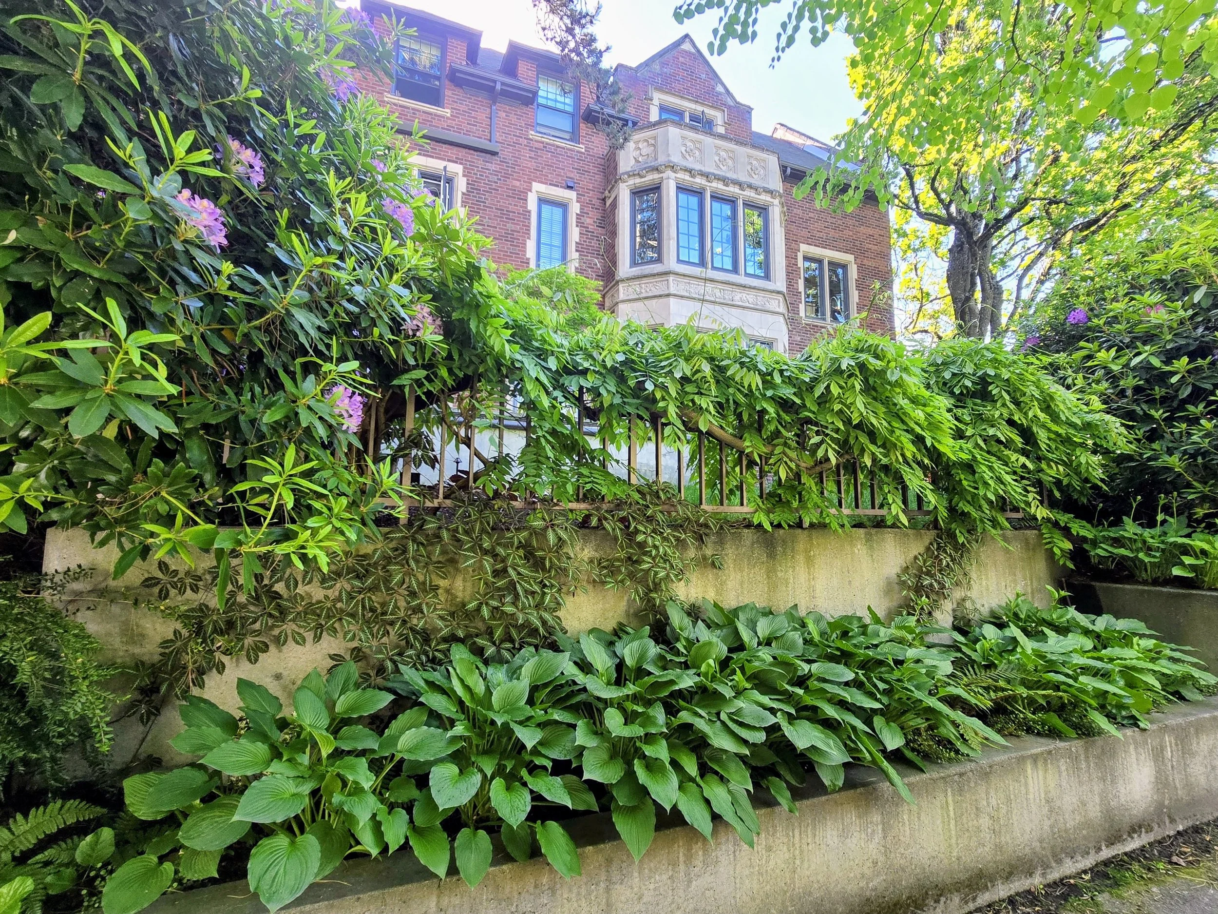 A multi-story red brick house surrounded by lush green trees, bushes, and plants, with a garden fence at the front.