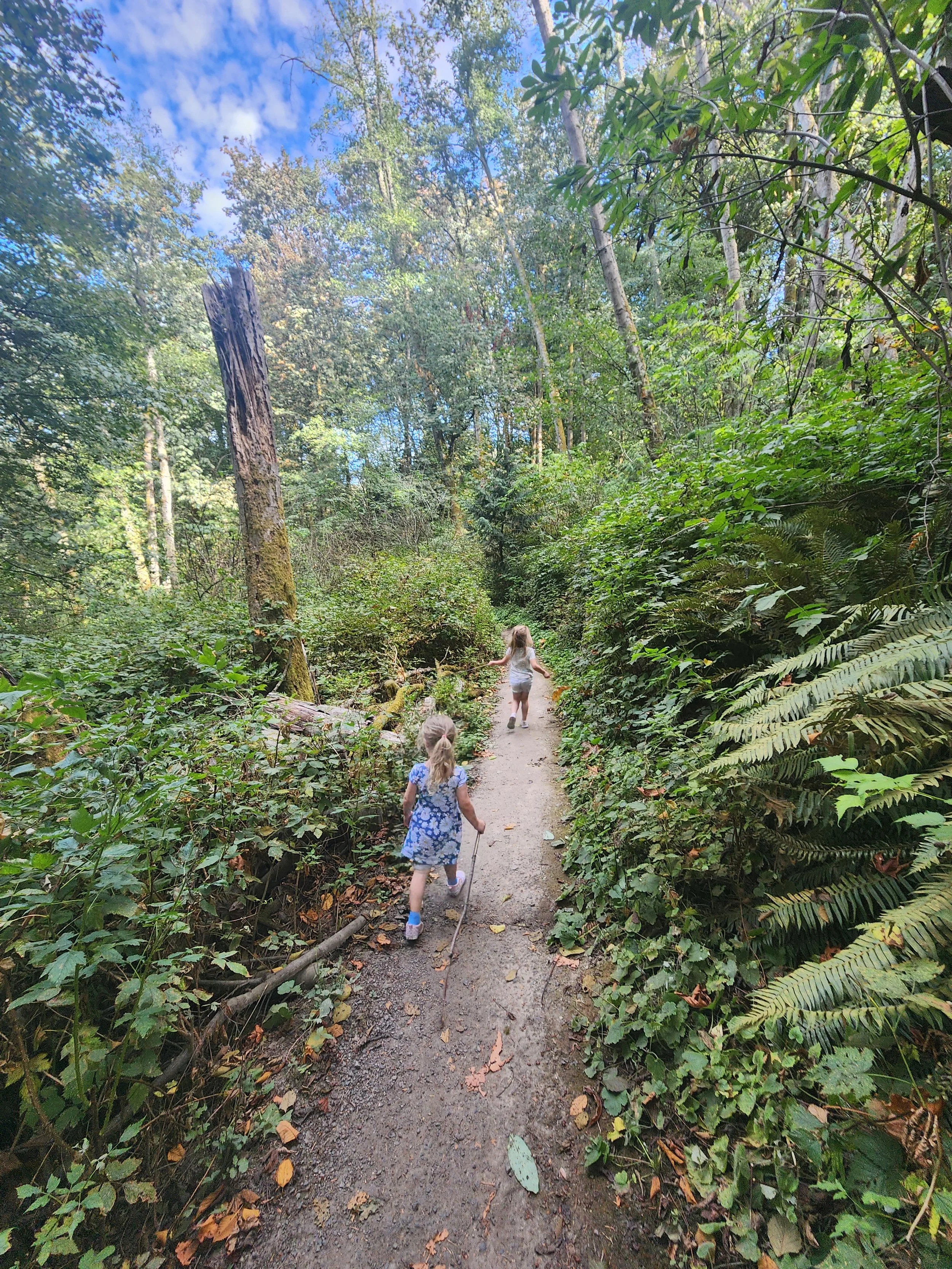 Two young girls walking along a narrow forest trail surrounded by lush green foliage on a sunny day.