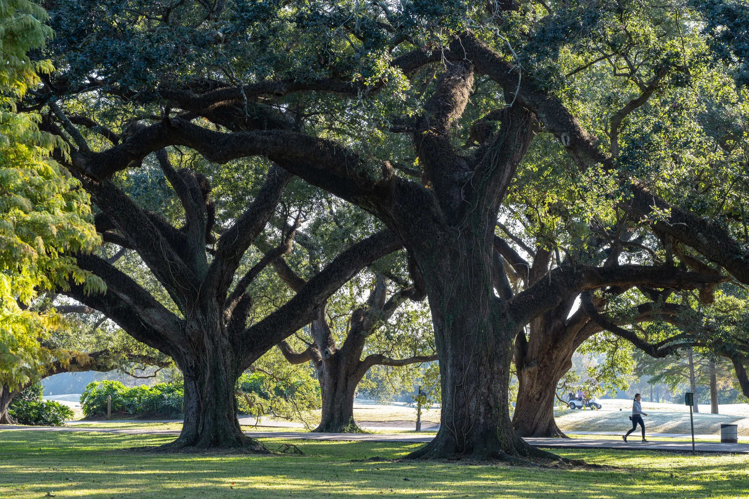 Audubon Park New Orleans