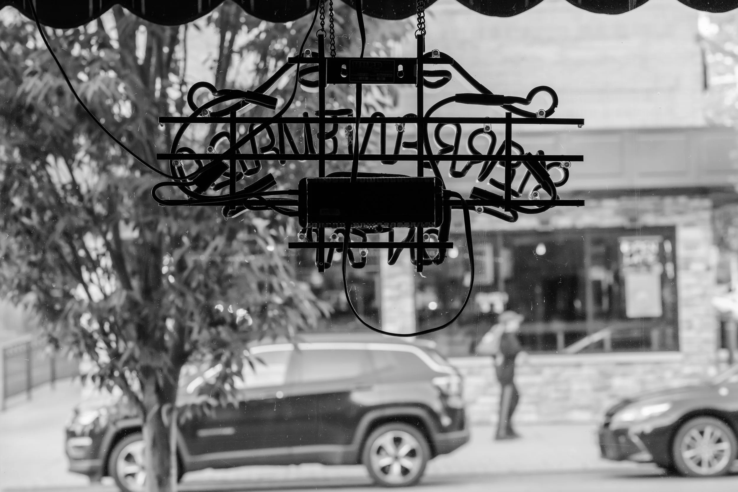 From Inside the Noname Bar