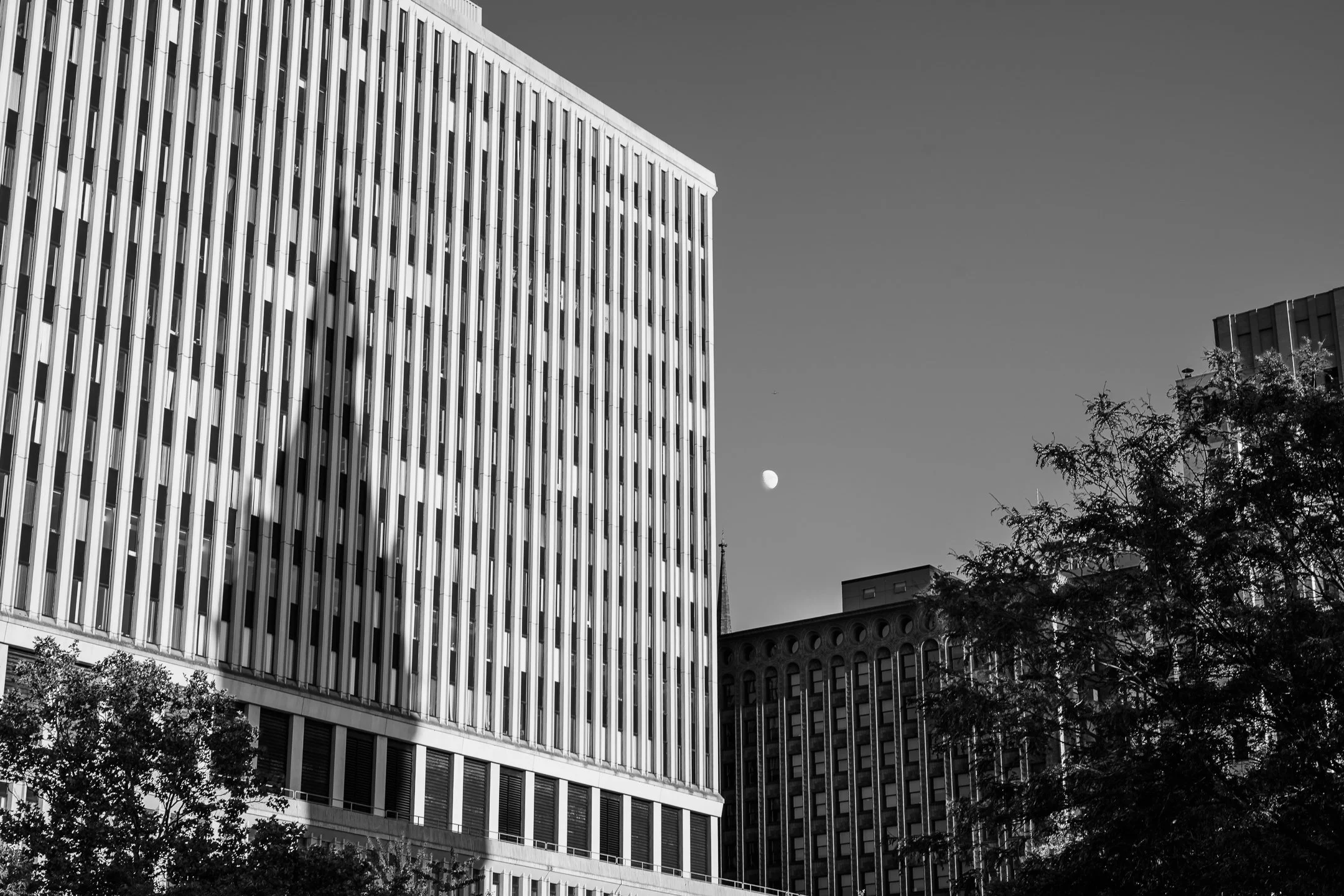 Z81_7845.jpg