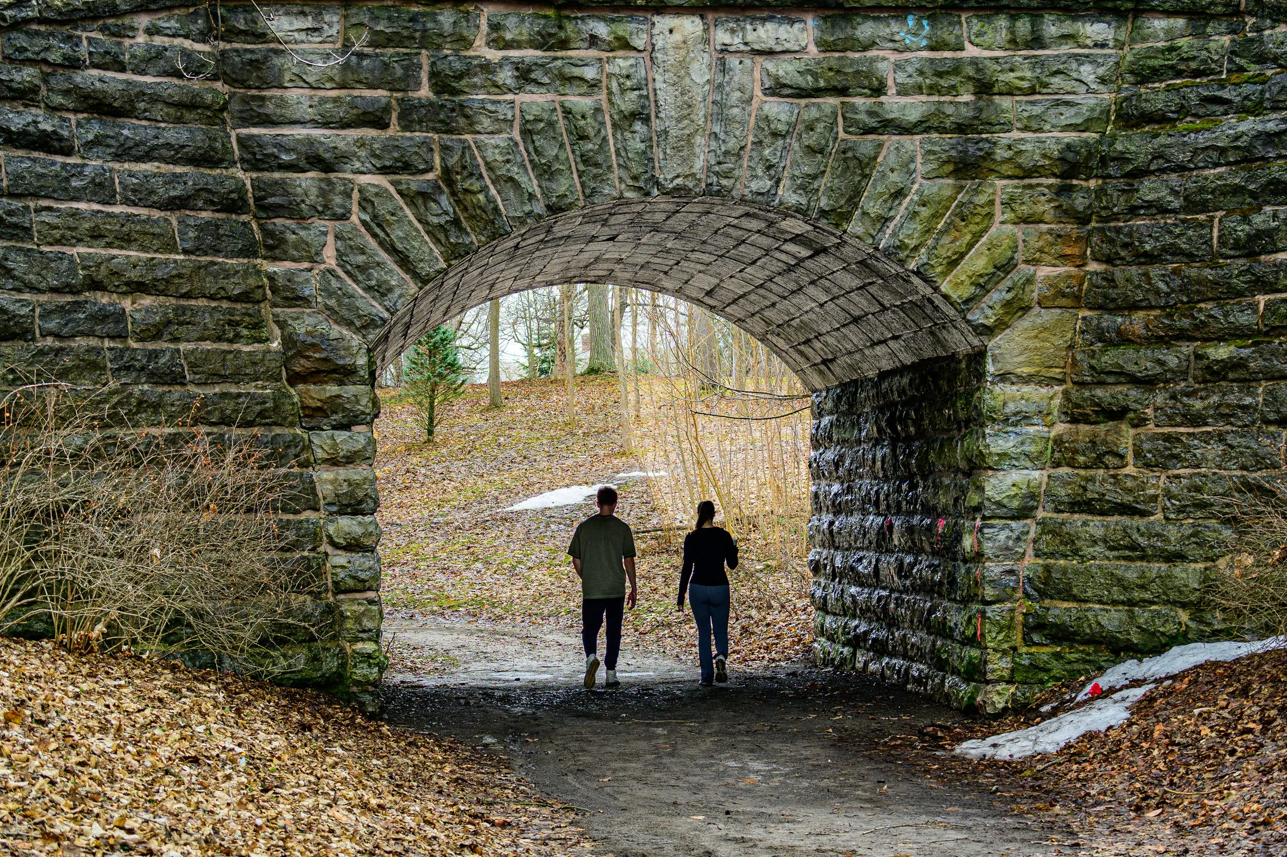 Delaware Park Walk