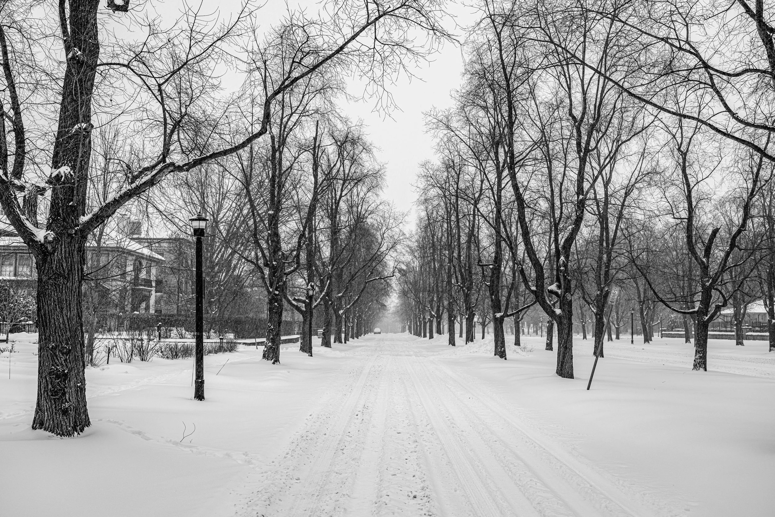 Snowy Lincoln Parkway