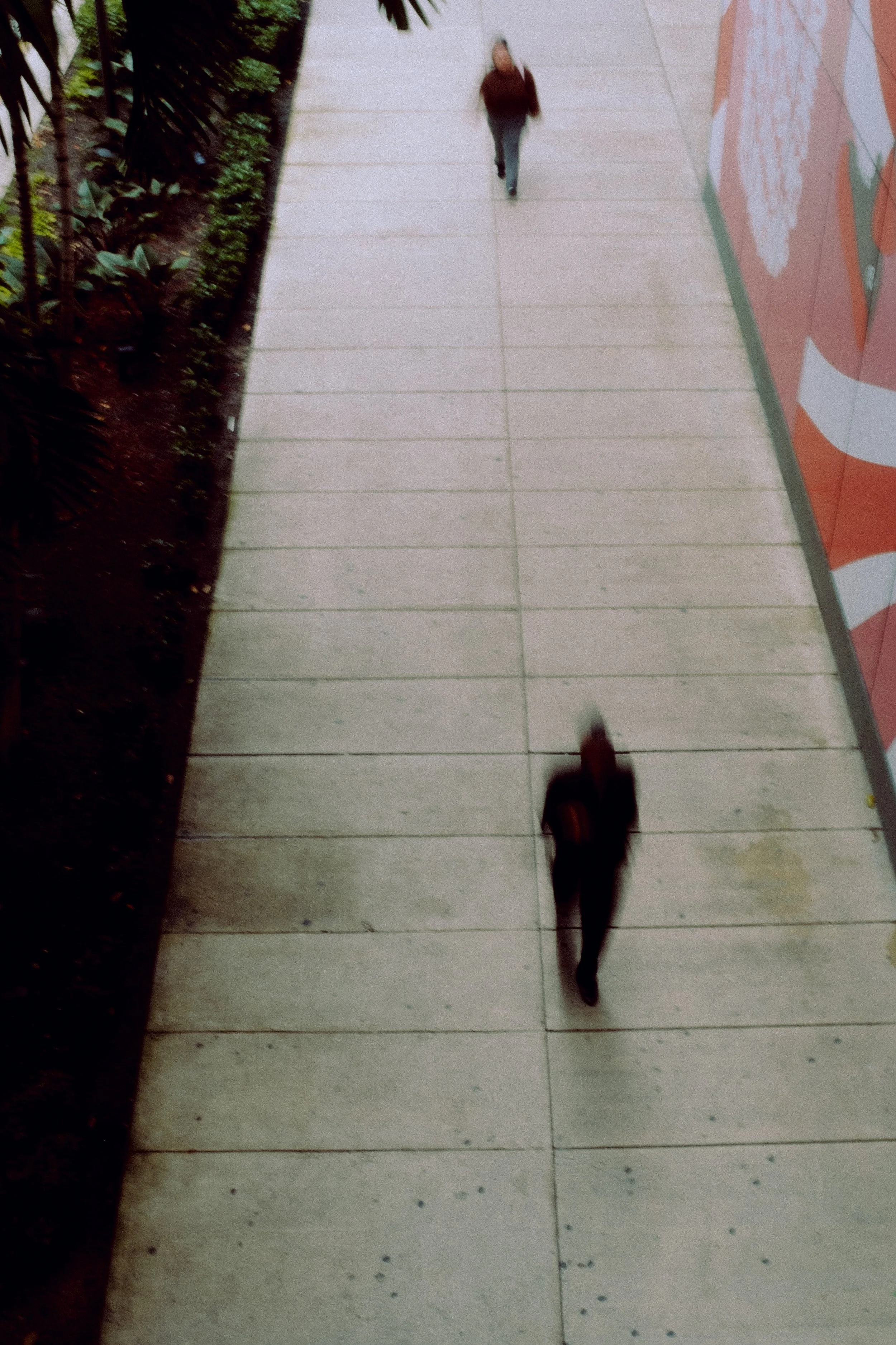 DSCF0560.jpg
