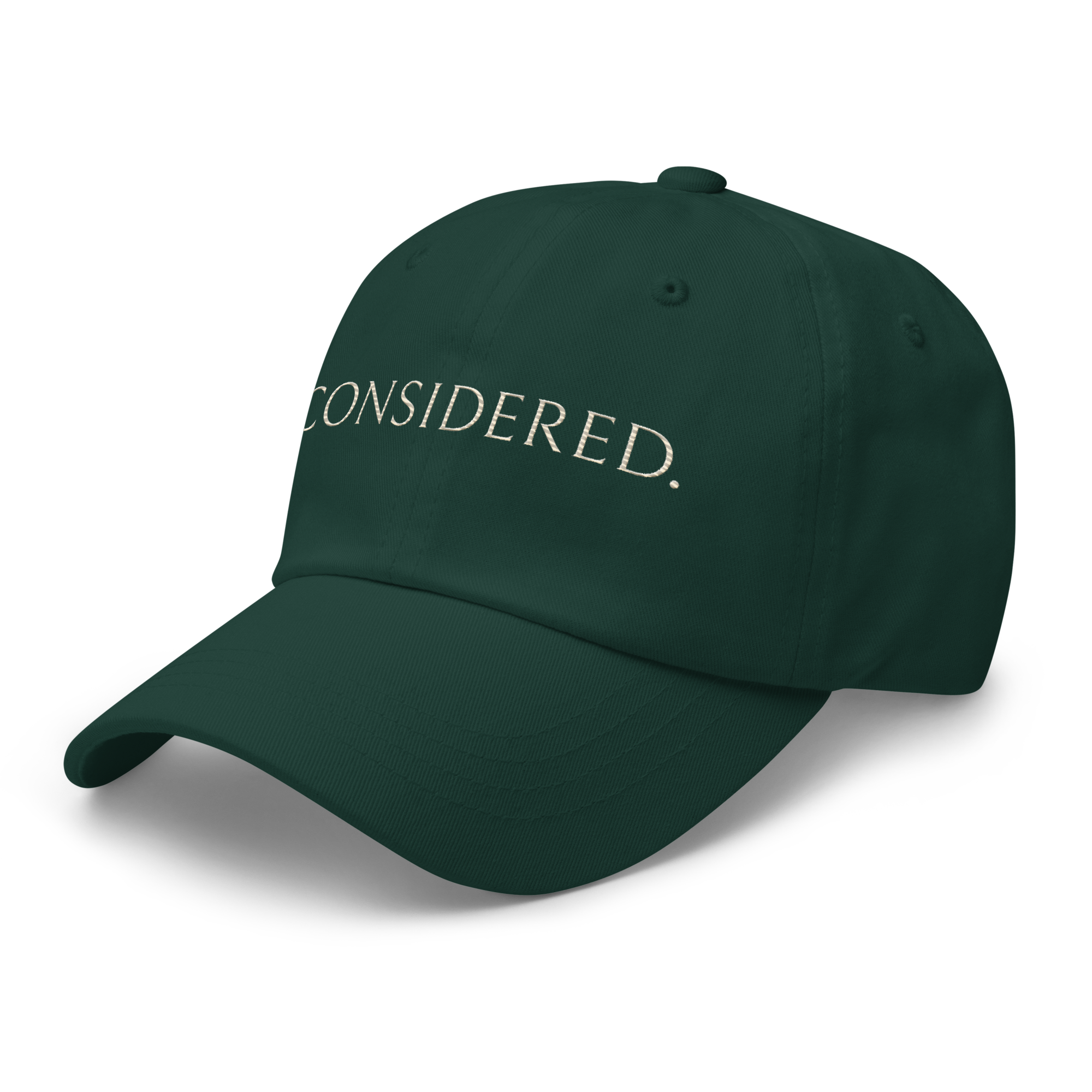 Well Considered Dad Hat