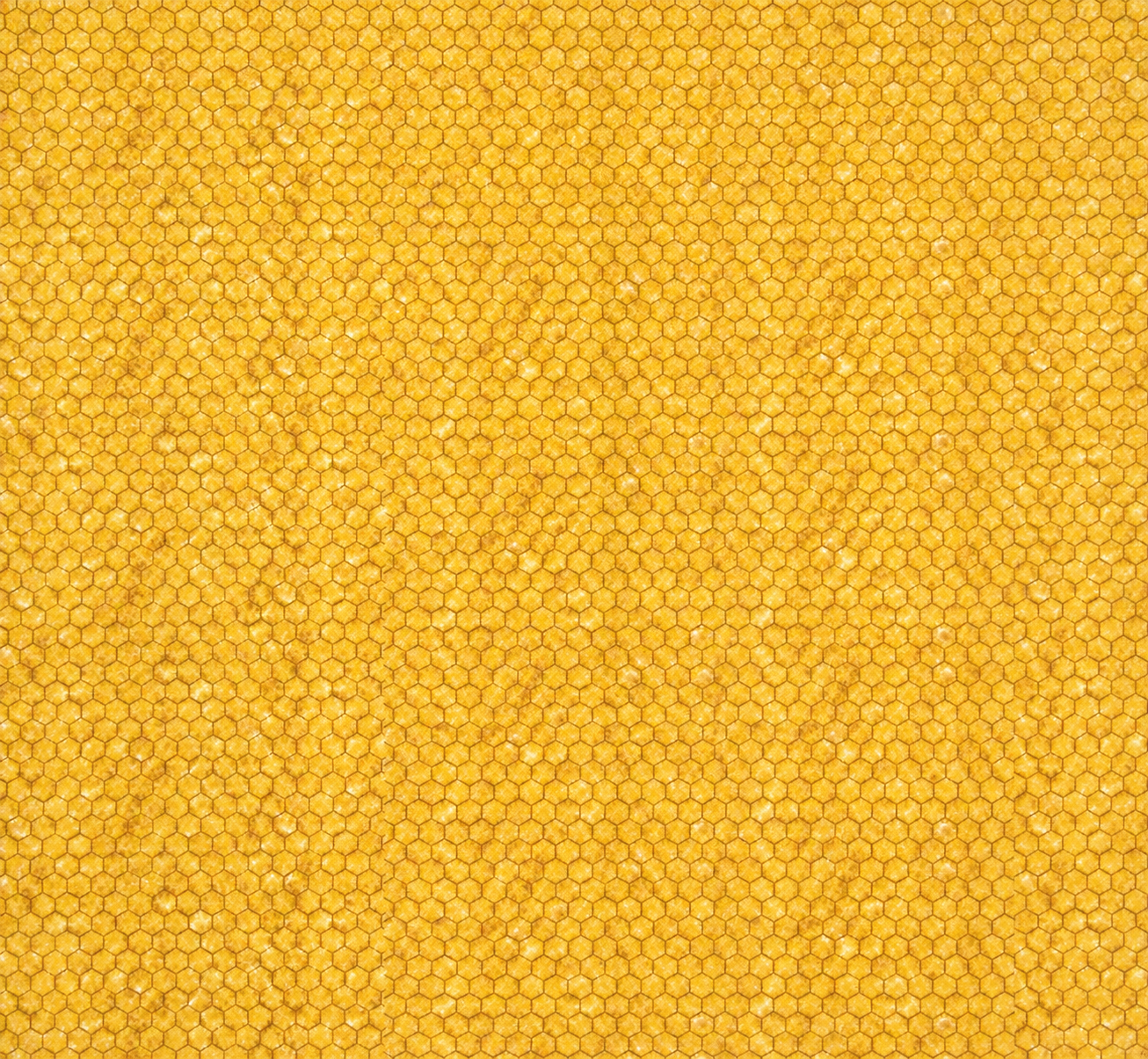 Scrappy Patchwork Parade Back.png