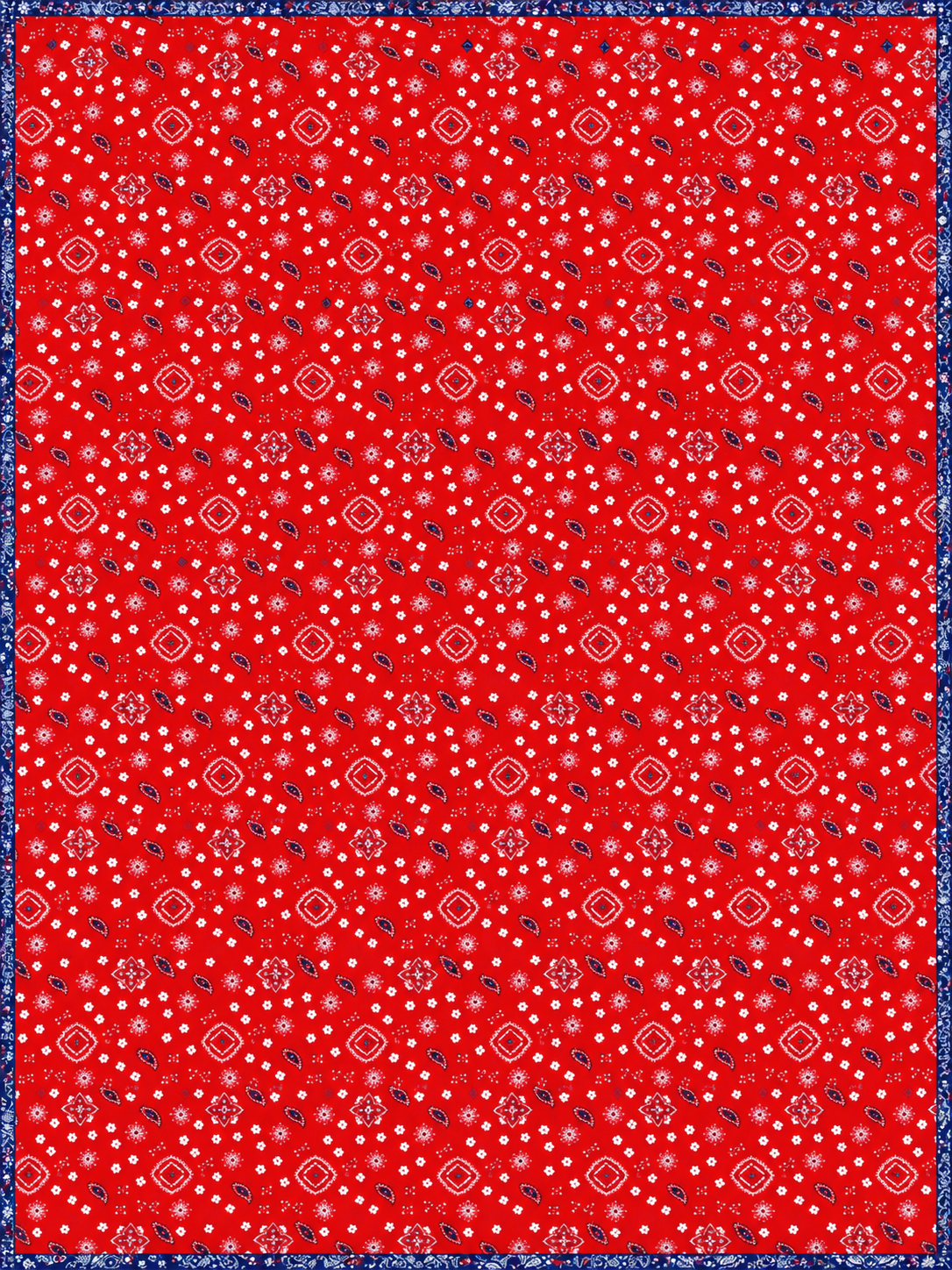 Stars & Stripes Forever Back.png