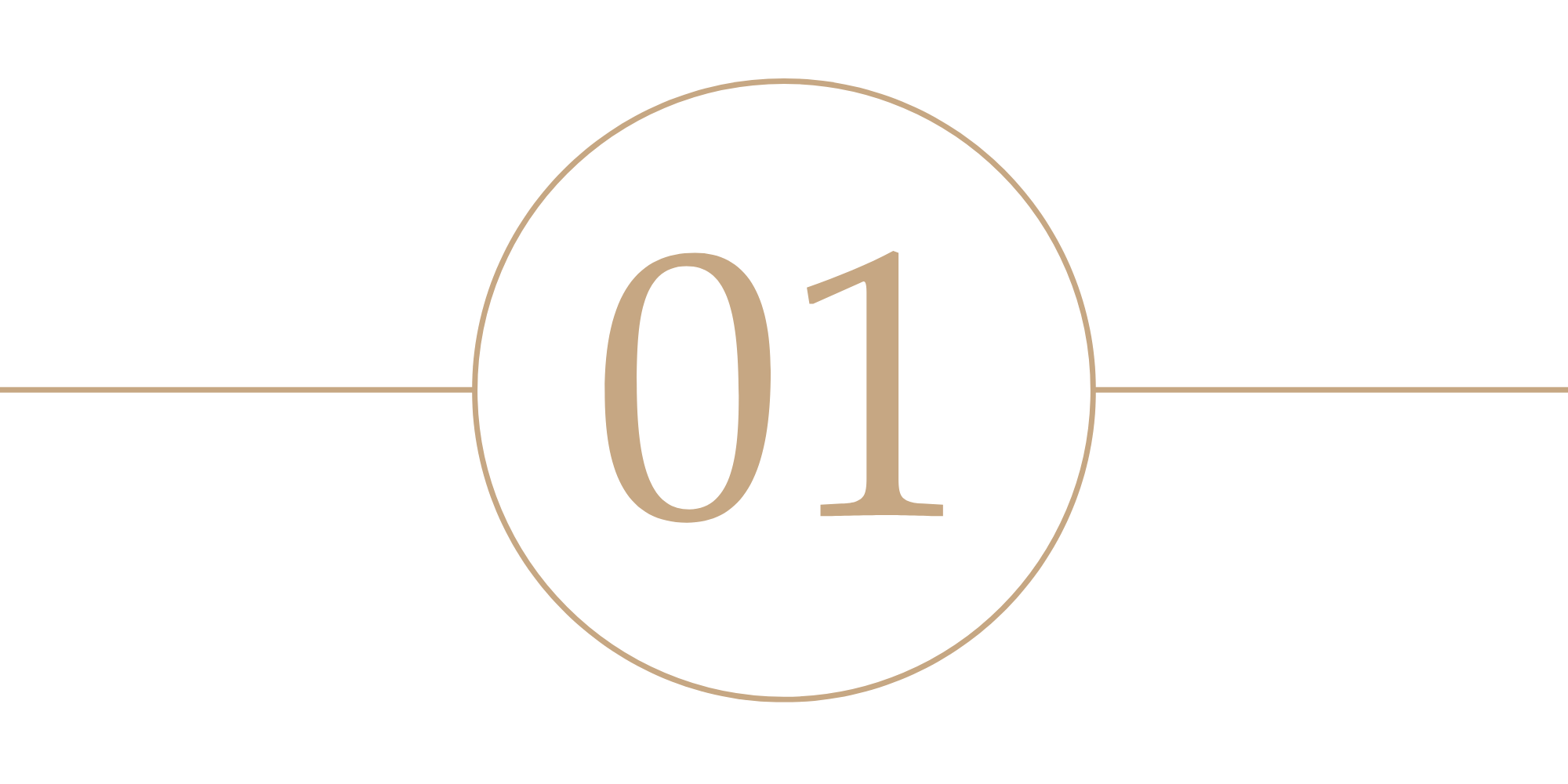 Close-up of the number '01' displayed on a black background with a beige circle and horizontal line design.