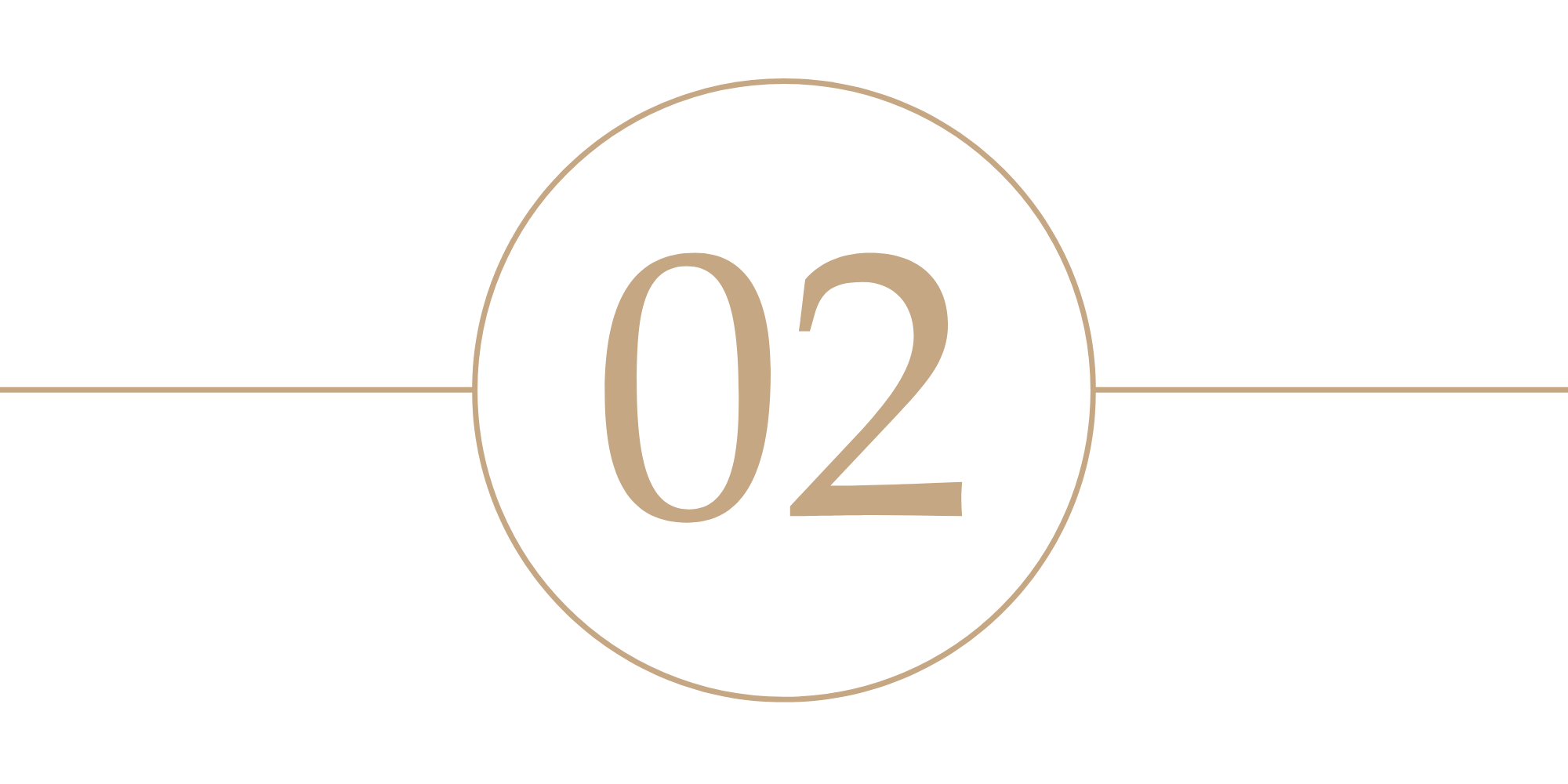 Close-up of the number '02' displayed on a black background with a beige circle and horizontal line design.