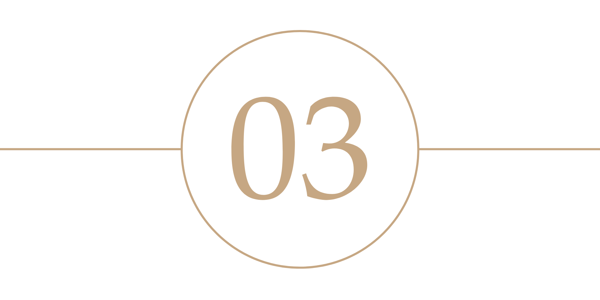 Close-up of the number '03' displayed on a black background with a beige circle and horizontal line design.