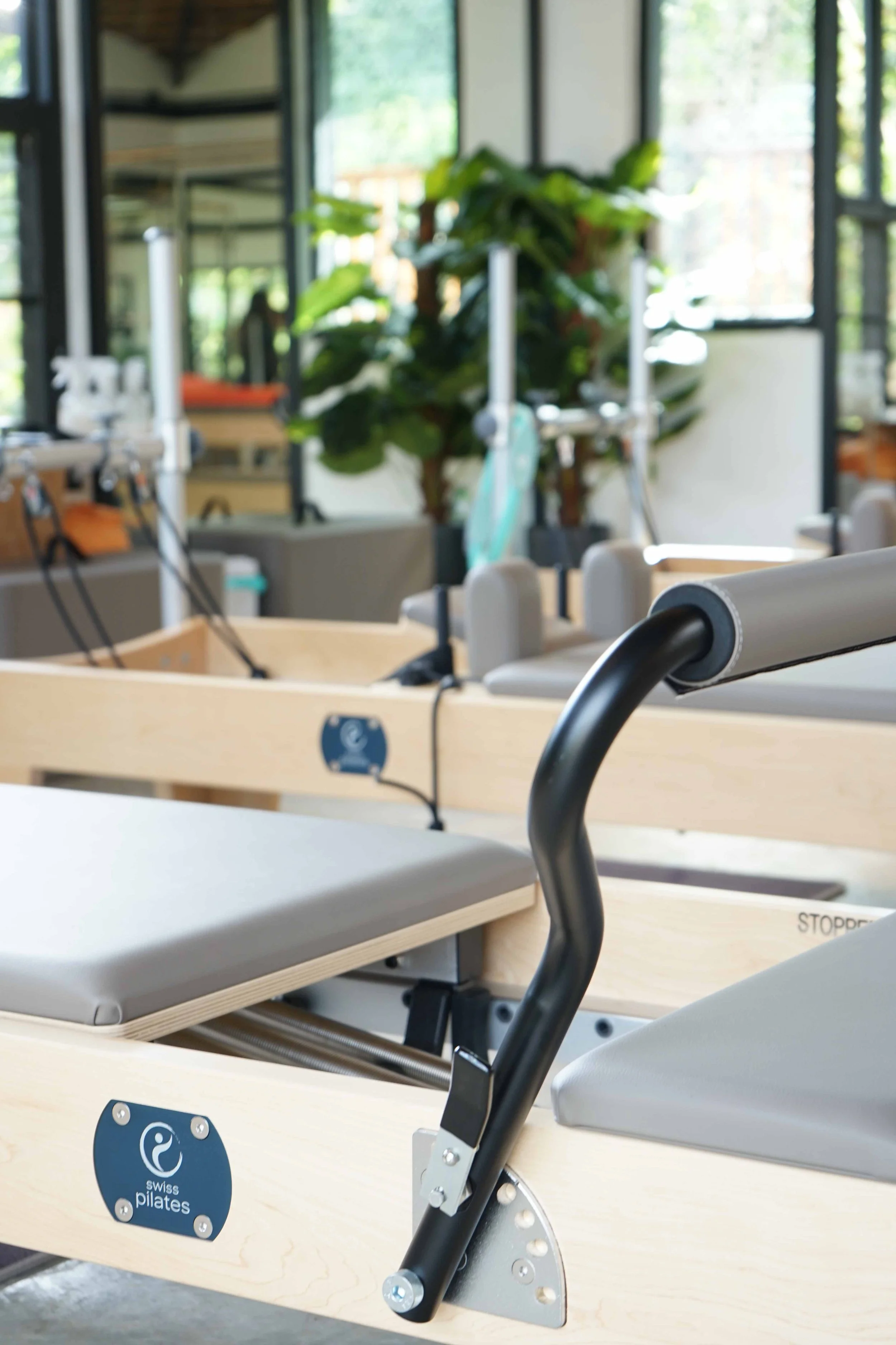 Empty Pilates reformer in a bright room with large windows, a large green potted plant in the background, and a Swiss Pilates logo on the side of the reformer.