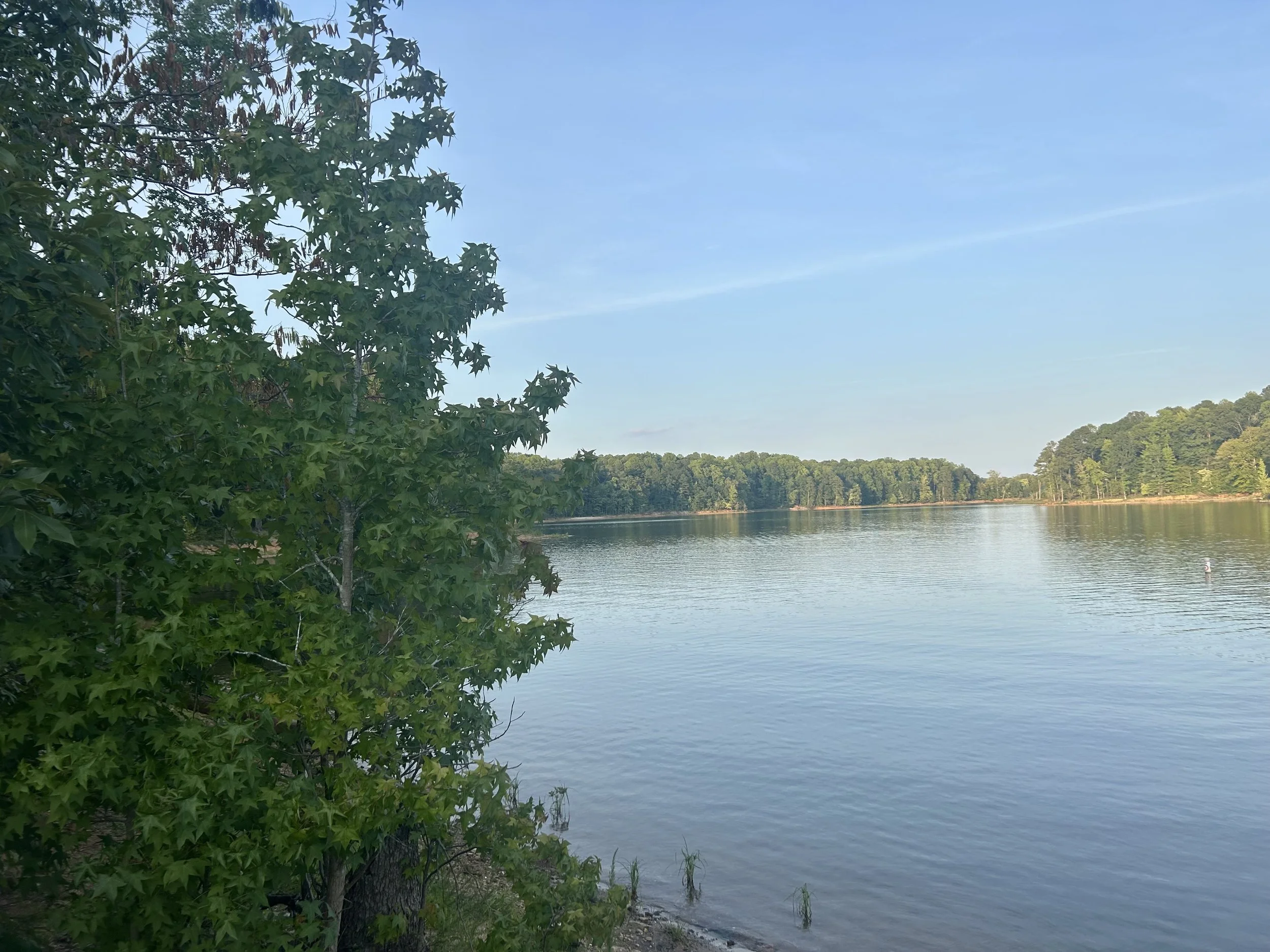 A peaceful lakeside scene with water, trees, and a clear blue sky.