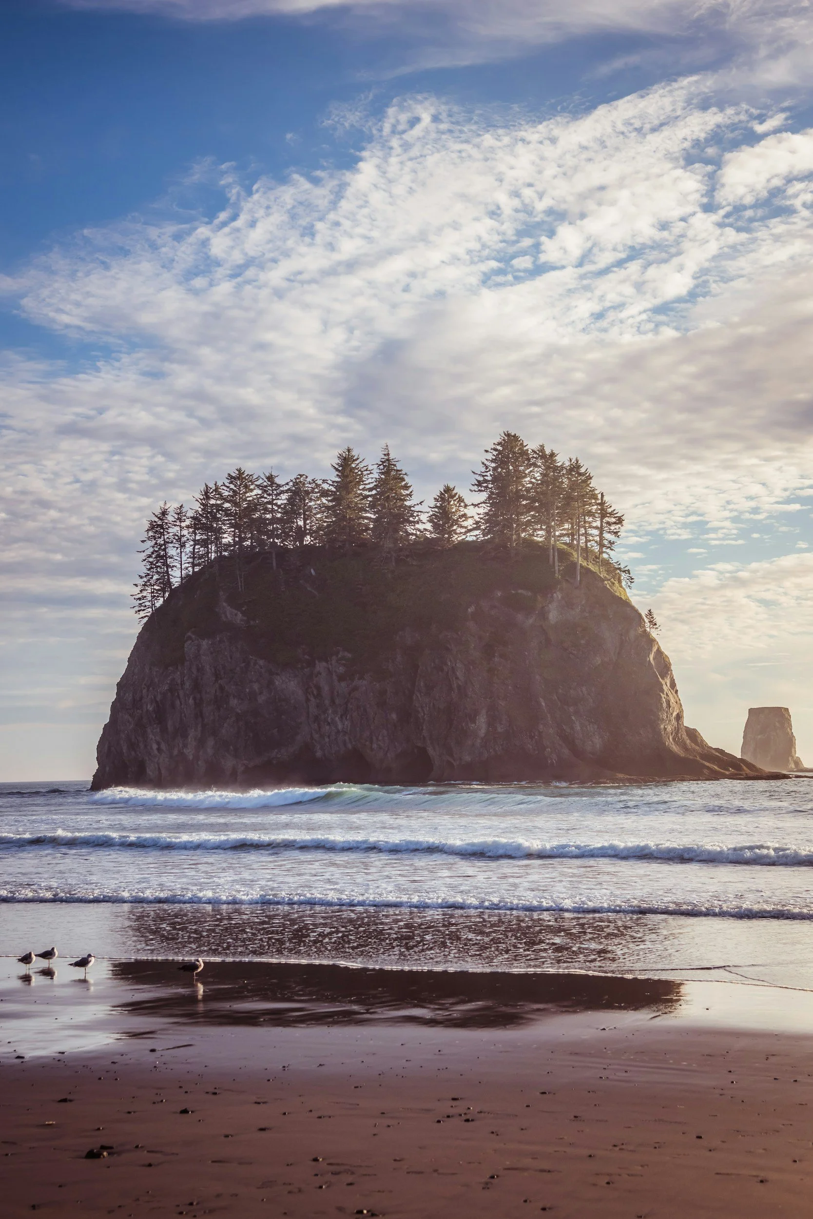 A coastal scene featuring a large rocky island topped with trees, with the ocean and waves in the foreground and a sky filled with scattered clouds in the background