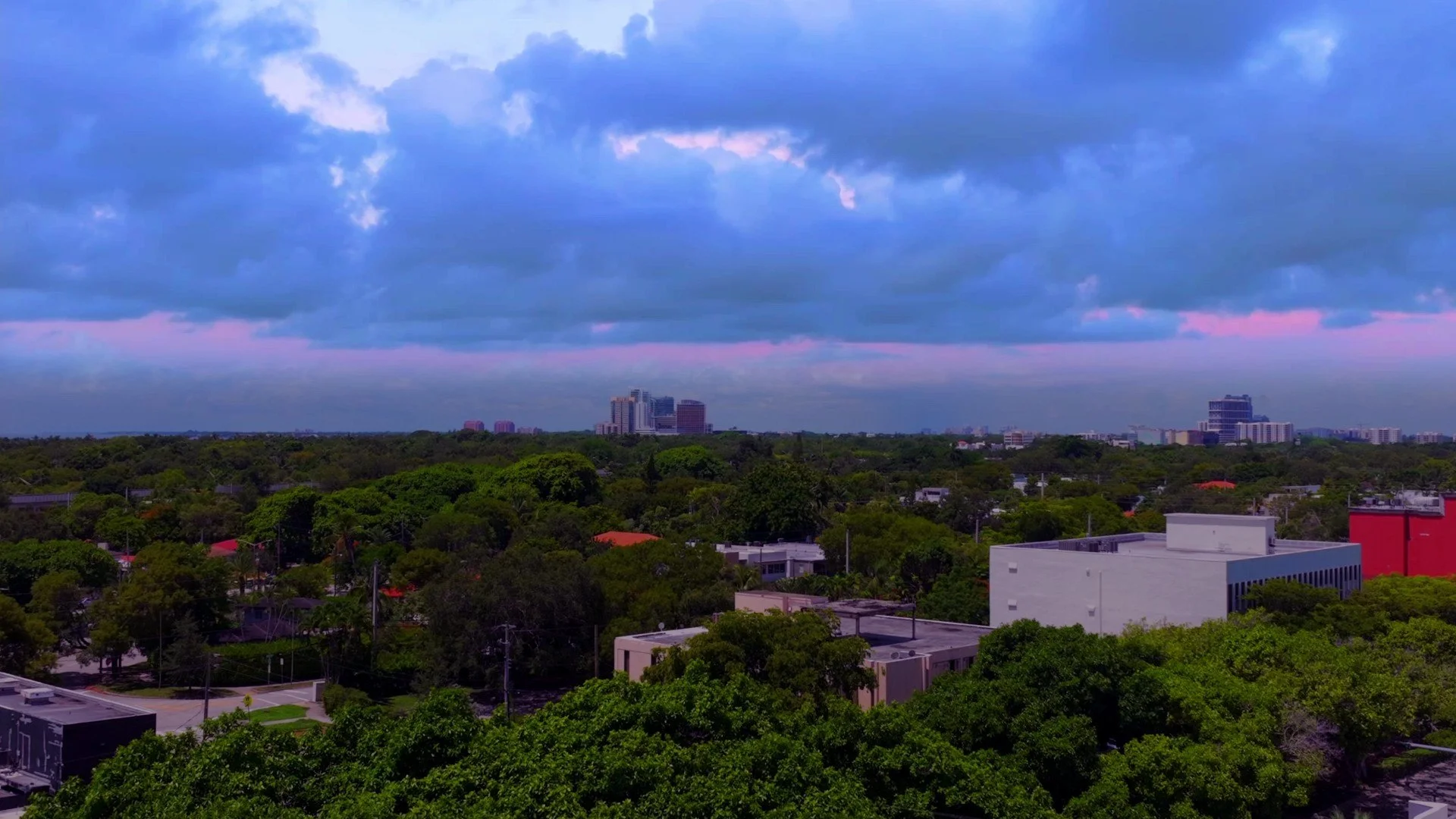 SW-FL5-6.jpg
