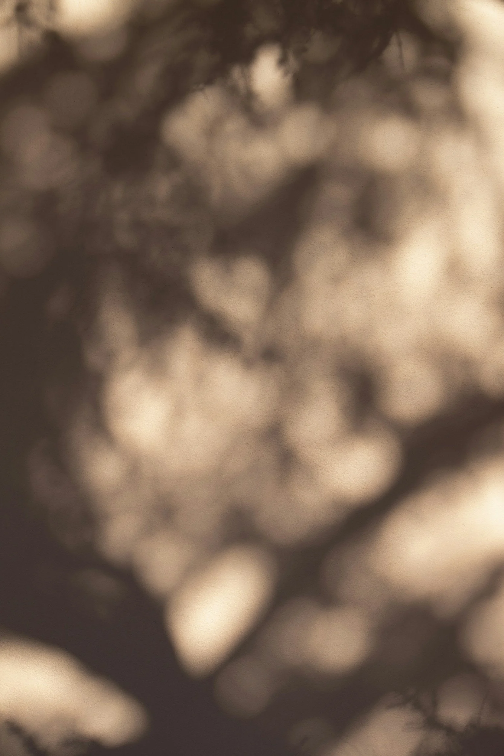 A close-up, abstract, sepia-toned image with blurry shapes and indistinct details.