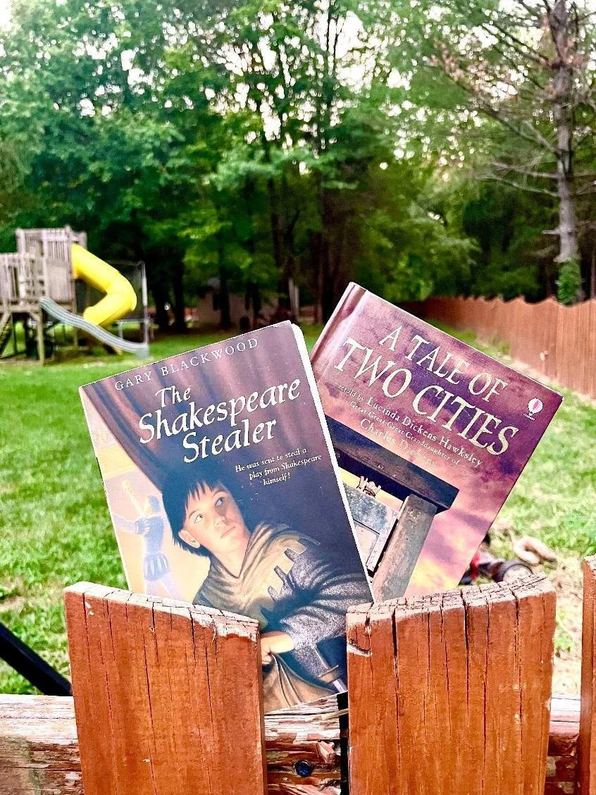 2 books with playground.jpg