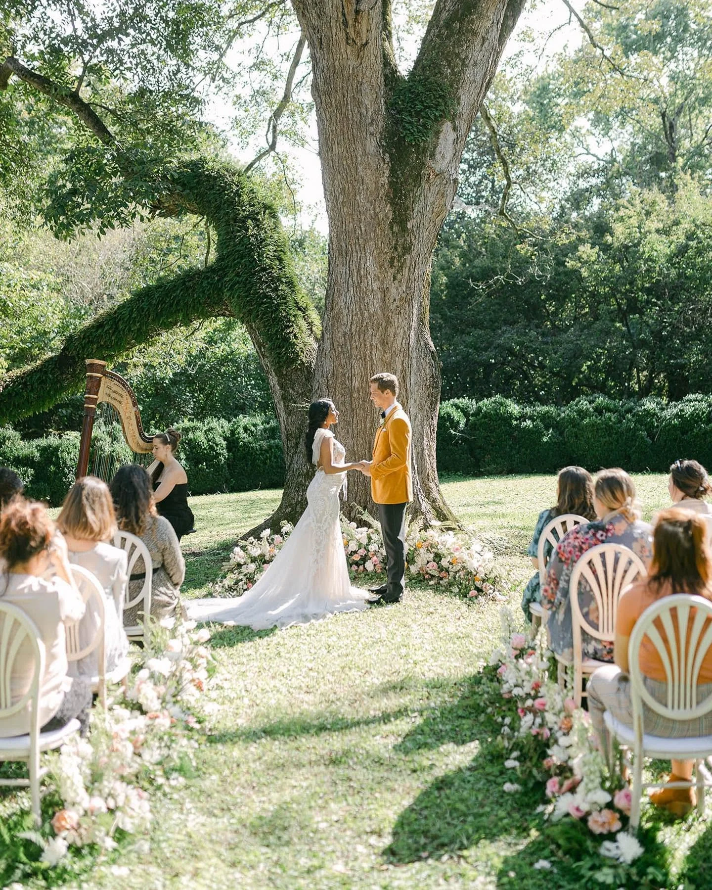 A wedding ceremony taking place outdoors under a large tree with guests seated on white chairs adorned with pink and white flowers. The bride and groom are holding hands at the altar, with a harpist playing nearby.