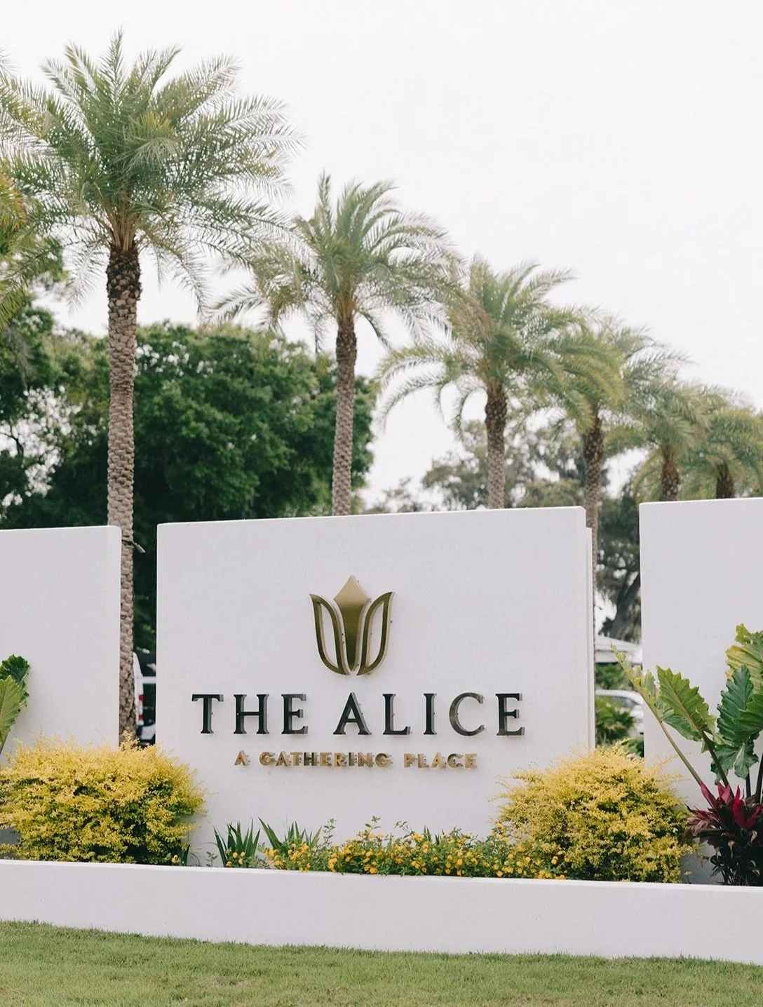 Sign for The Alice, a gathering place, with palm trees and landscaped plants in the background.