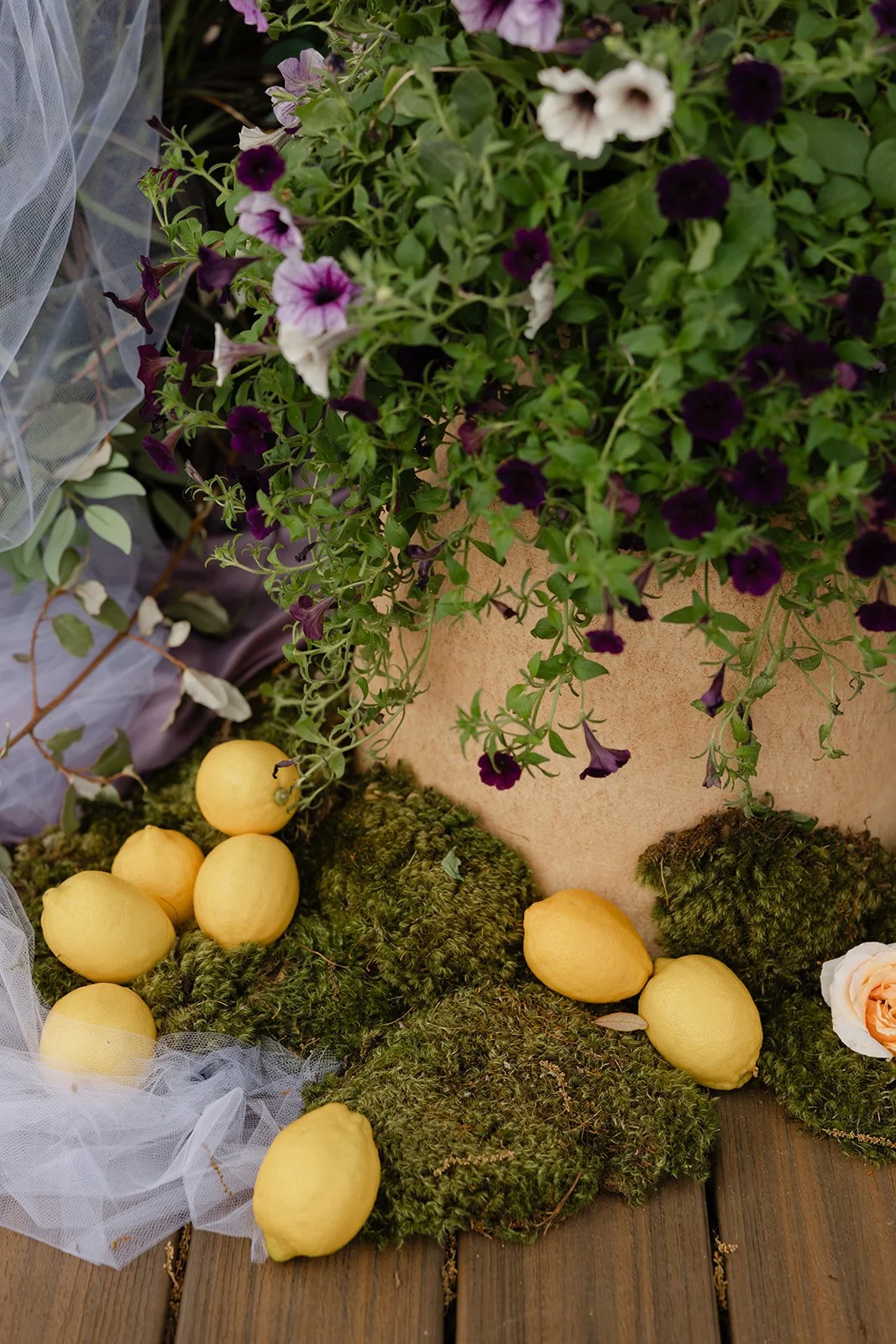 A decorative arrangement of yellow lemons, green moss, purple and white flowers, and white tulle fabric on a wooden surface.