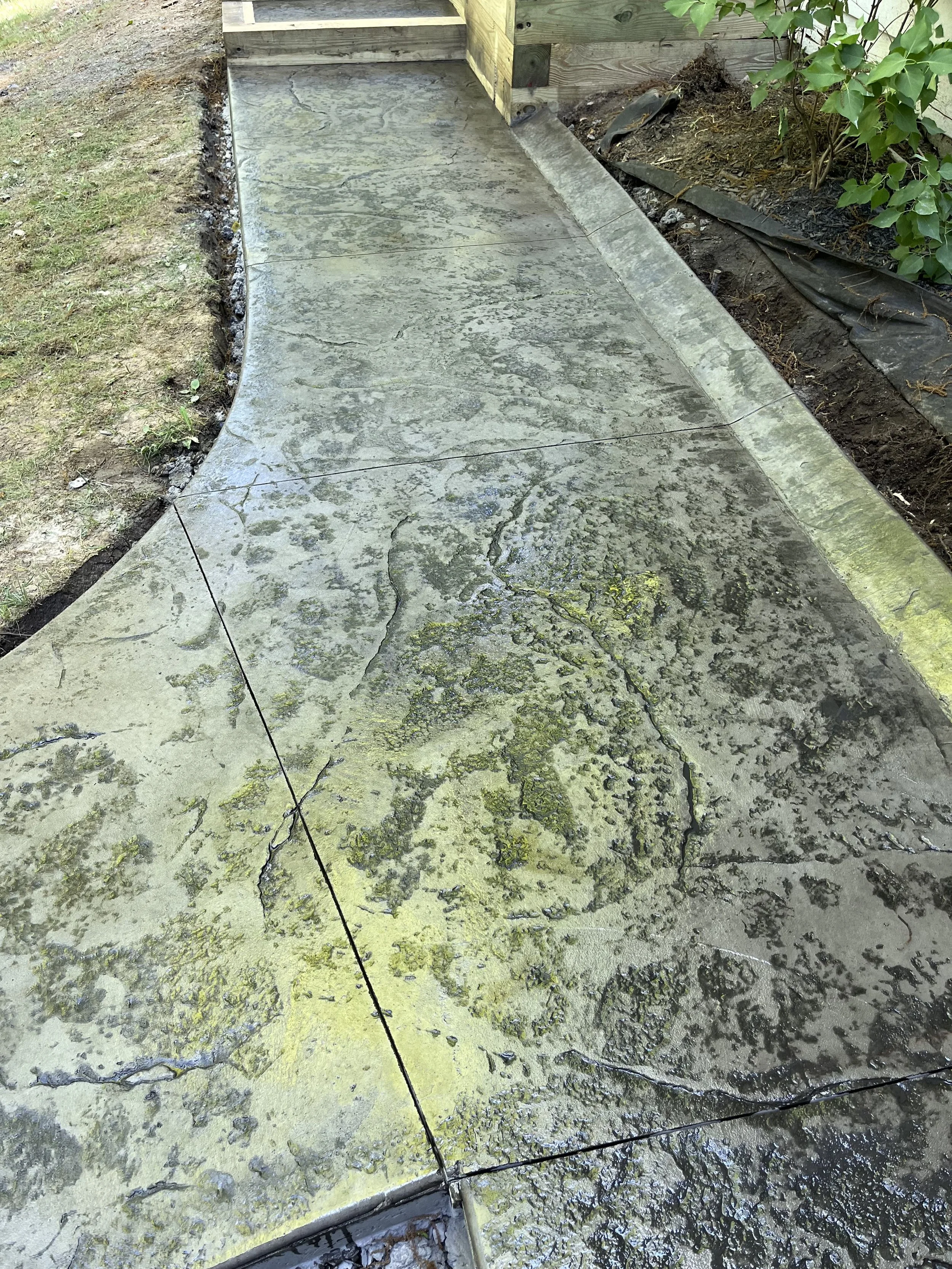 Concrete walkway with cracks, some moss, and water stains, bordered by grass on the left and soil with plants on the right.
