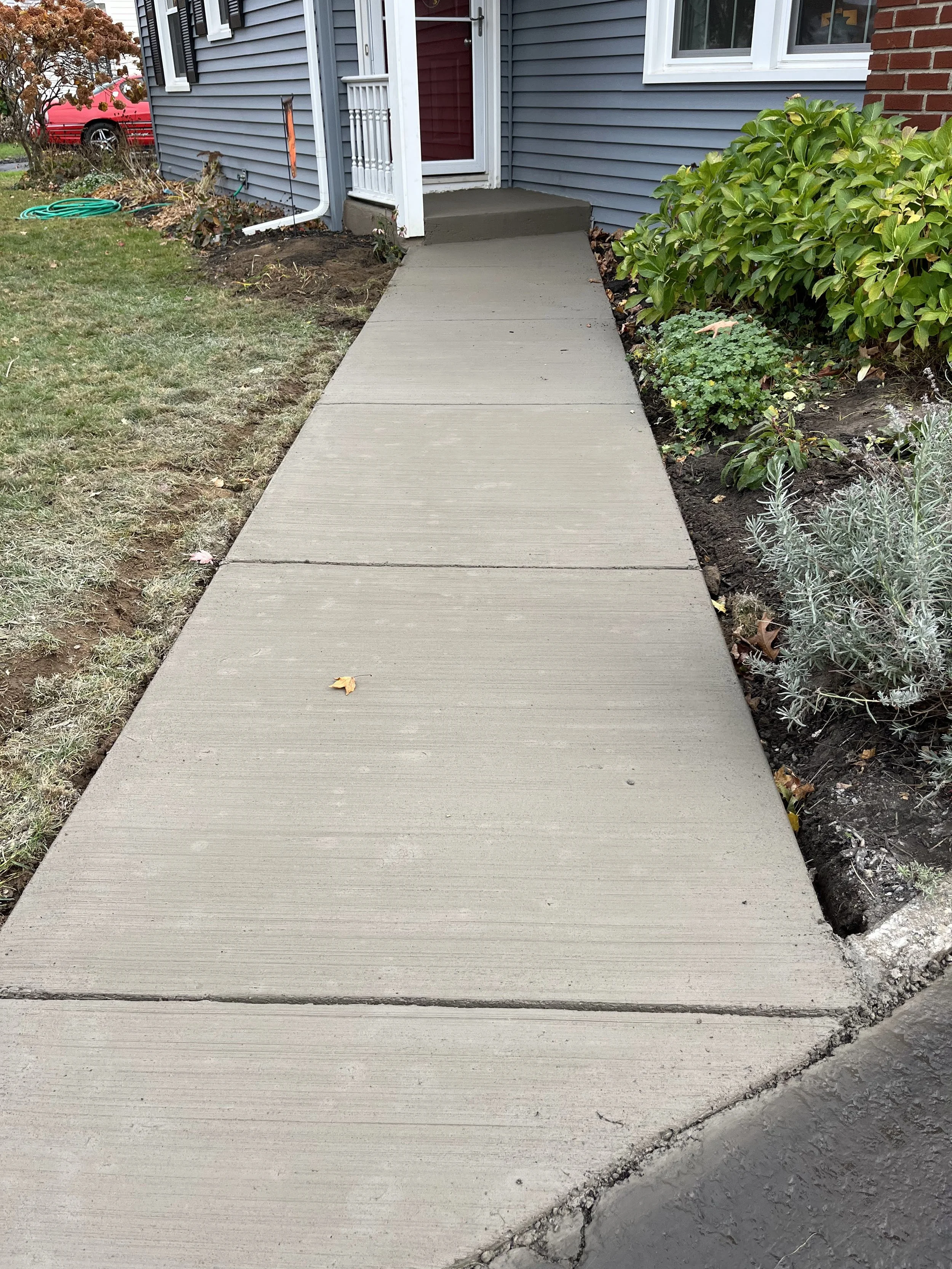 Newly poured concrete sidewalk leading to the front steps of a house, with lawn and bushes on the sides.