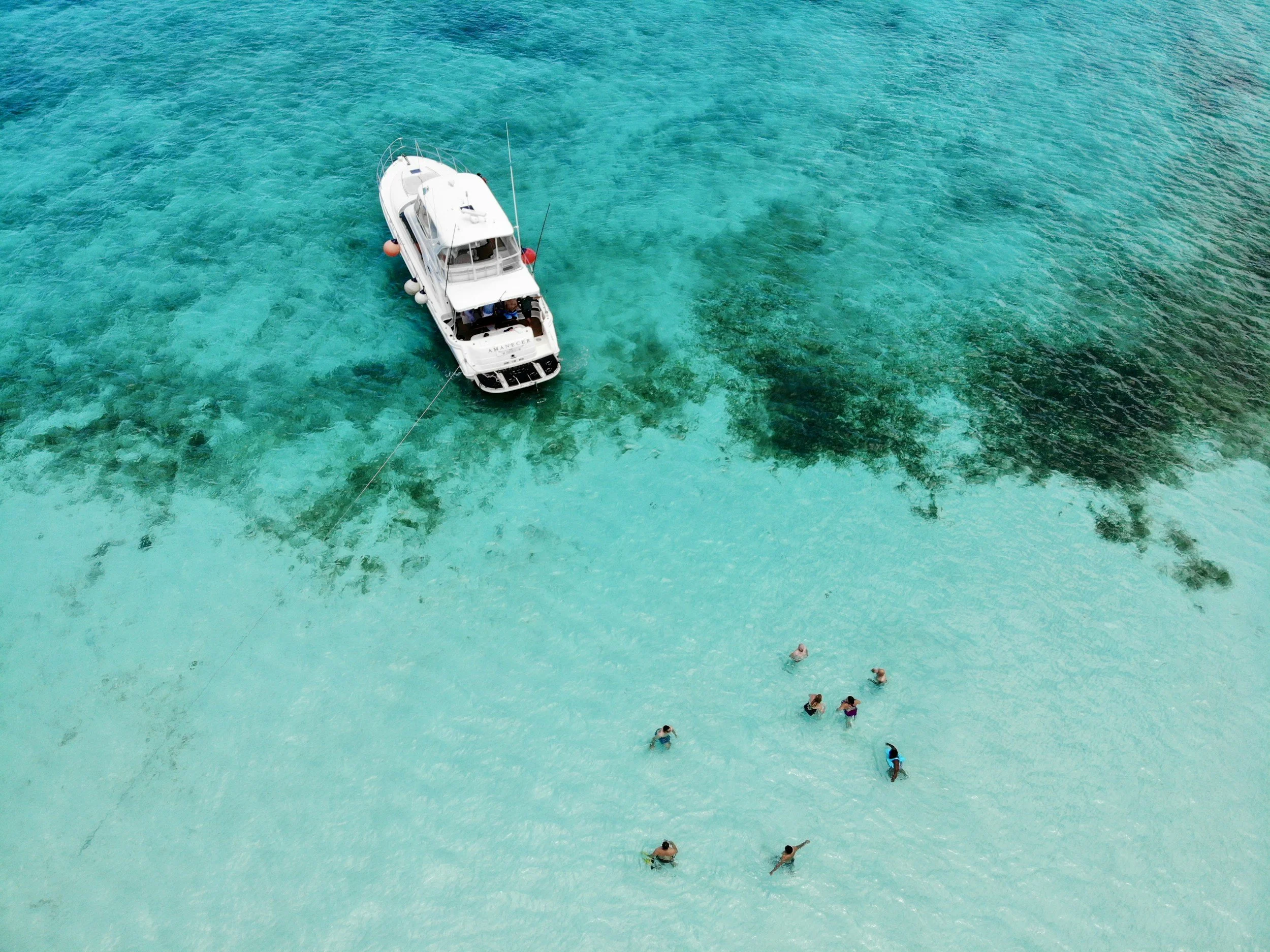 unsplash-image-948Dftugtxo.jpg