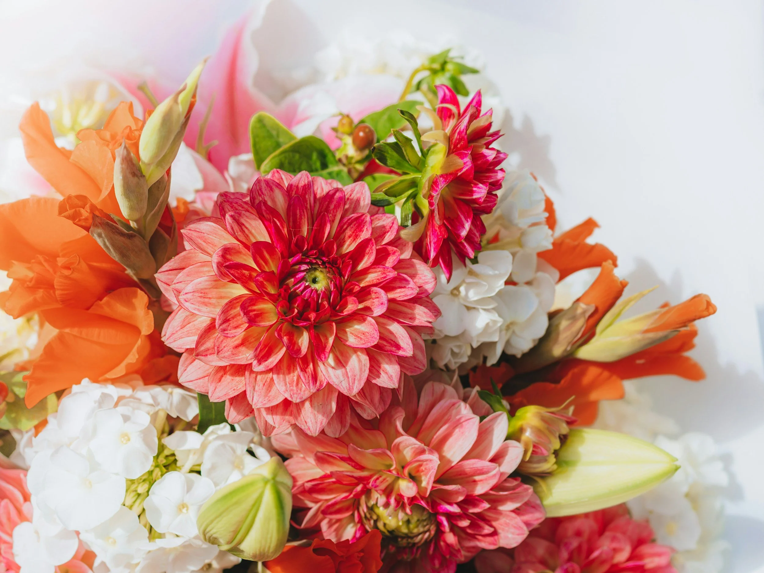 Close-up of a colorful bouquet of flowers, including orange, pink, white, and green blooms.