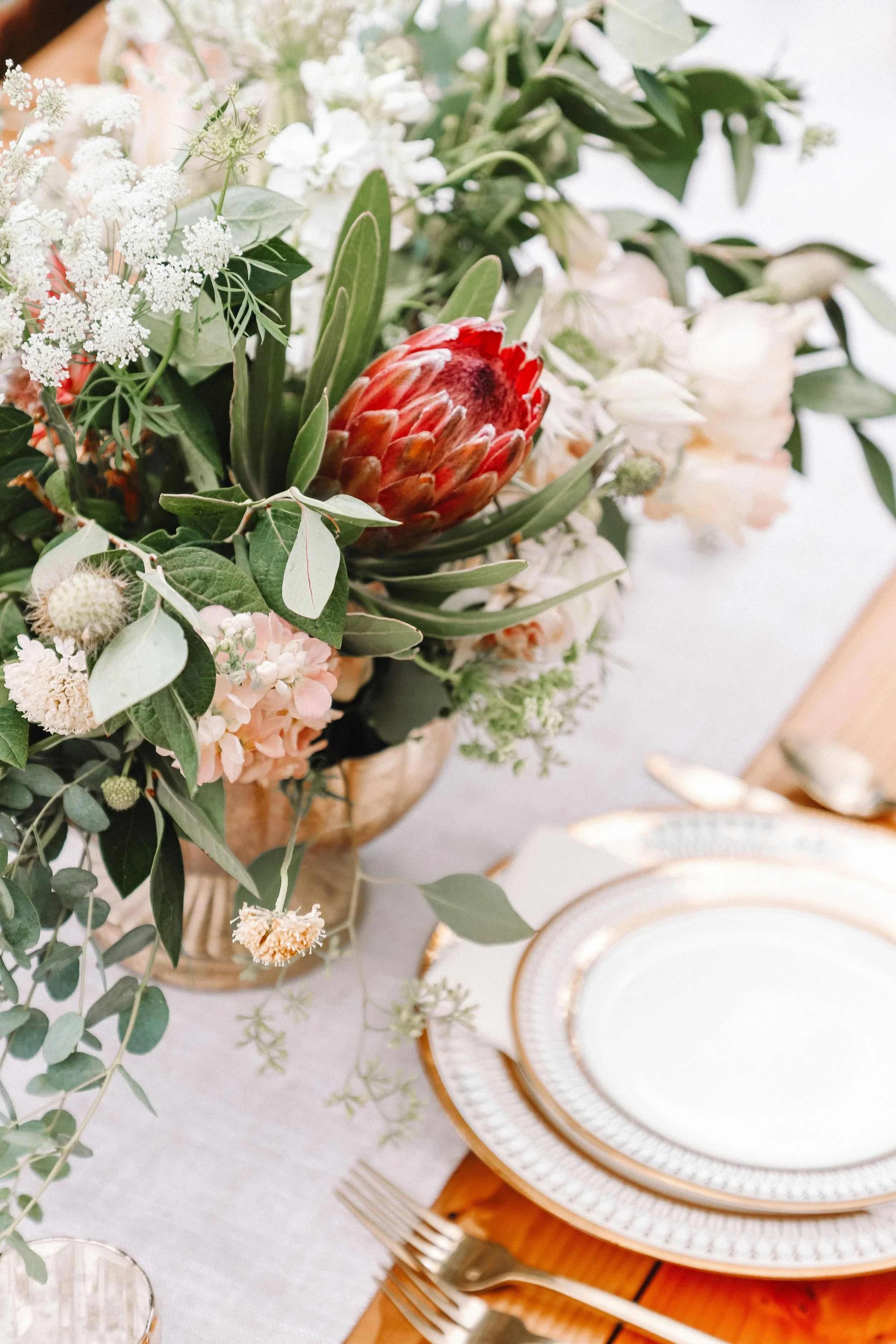 Elegant table setting with stacked white and gold-rimmed plates, gold flatware, and a floral centerpiece featuring a large red protea, white flowers, and greenery in a woven basket.