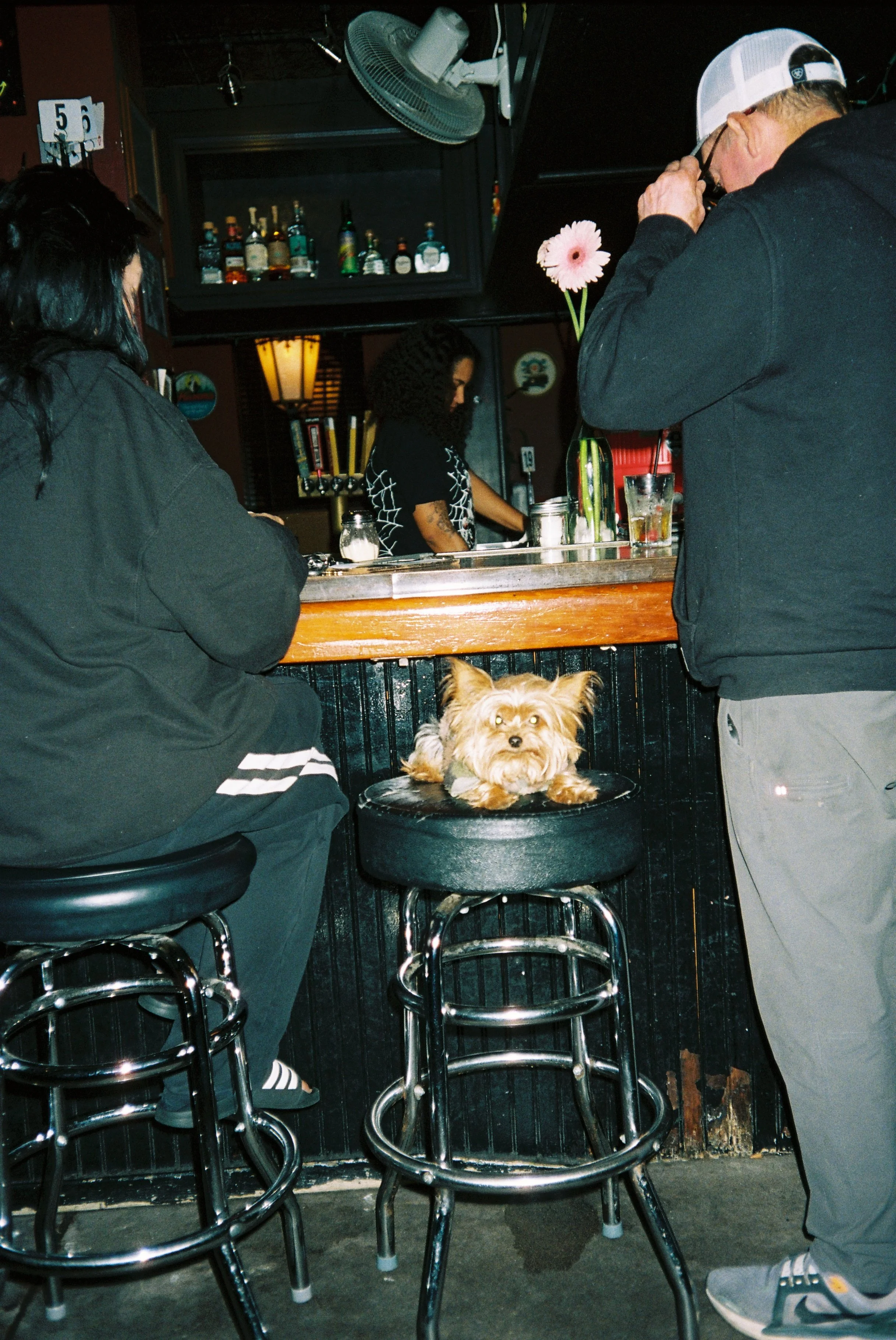 Copy of Roll1_813248-R1-03-2.JPG