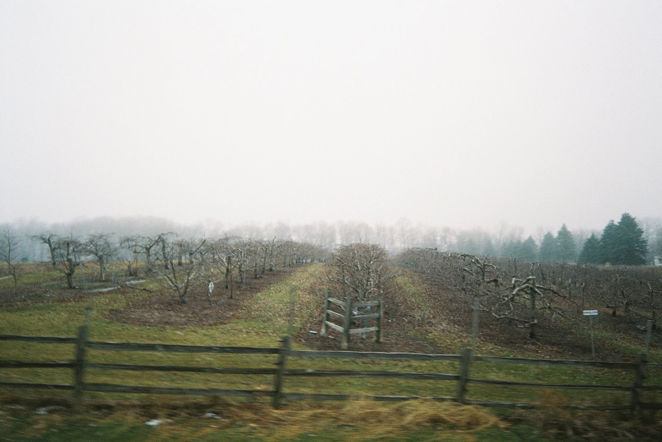 Copy of Roll1_448899-R1-06-14A.JPG