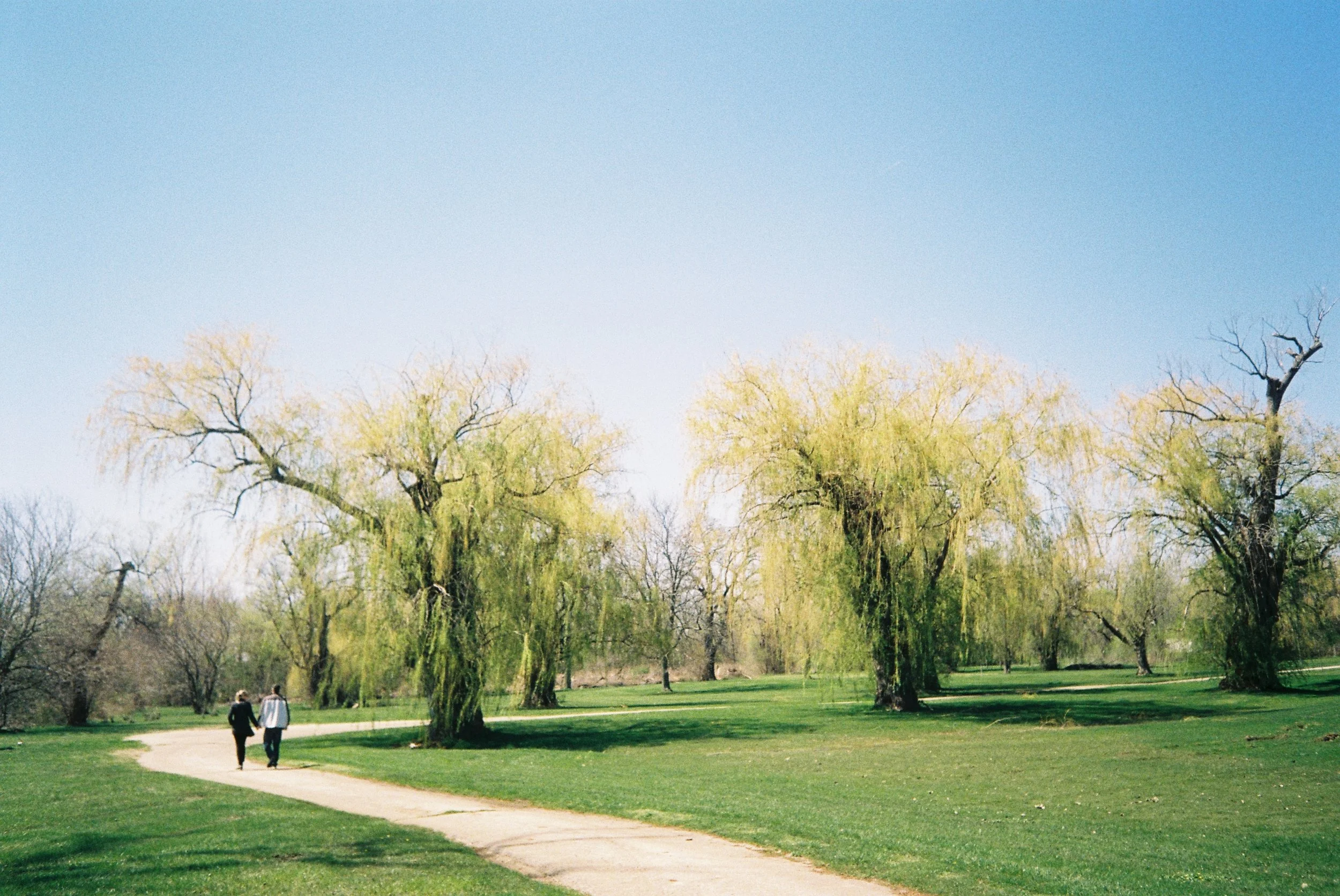 Copy of Copy of Roll1_465210-R1-17-19.JPG