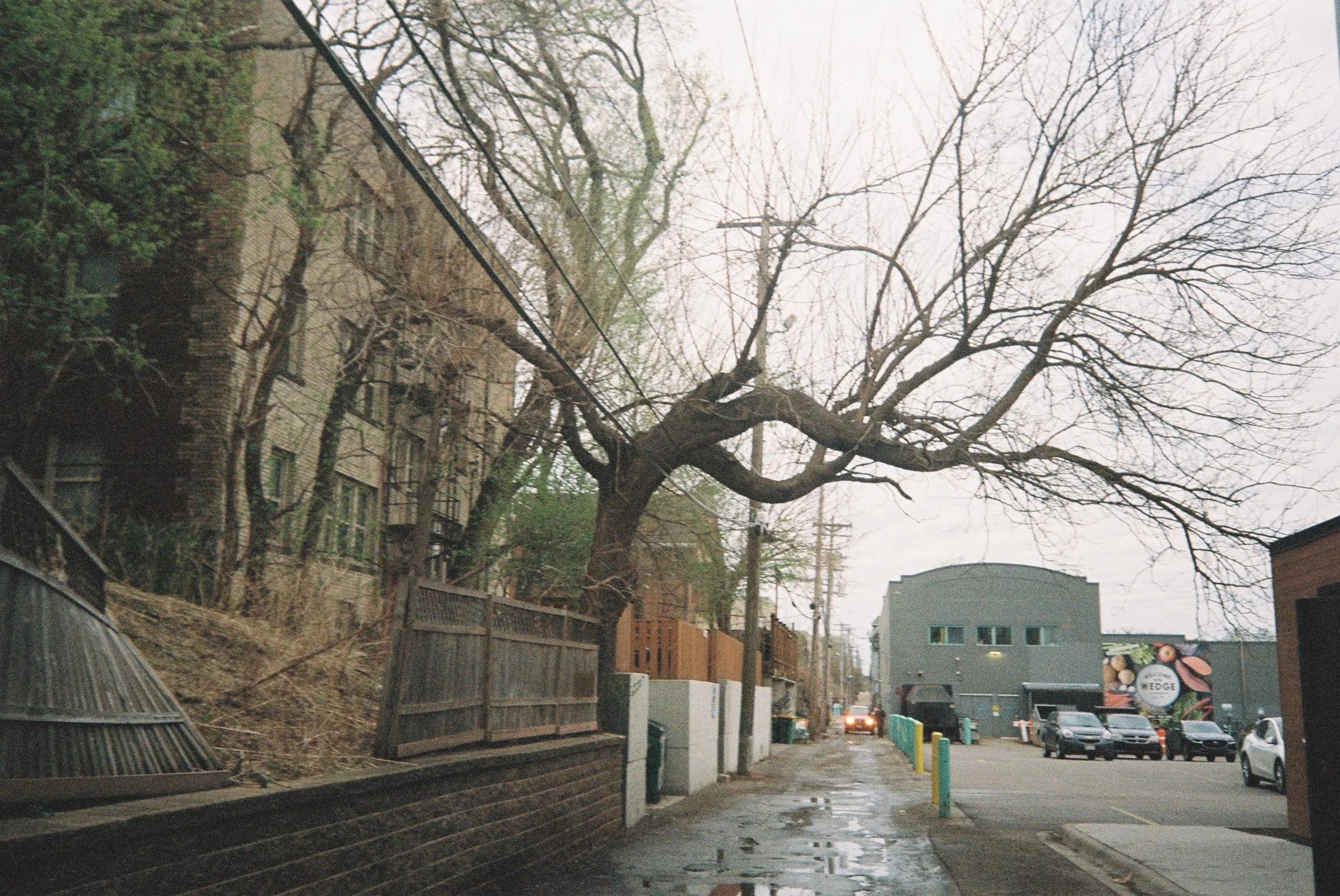 Roll1_056440-R1-16-19.JPG