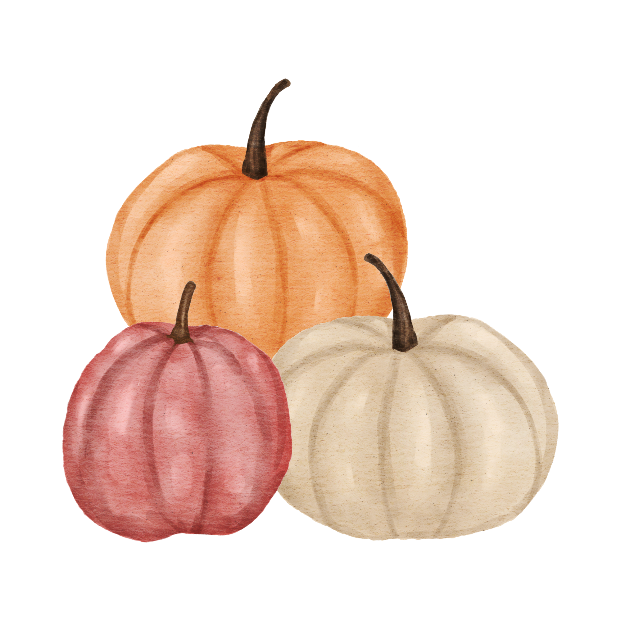Watercolor illustration of colorful pumpkins in shades of orange, pink, and cream with brown stems.