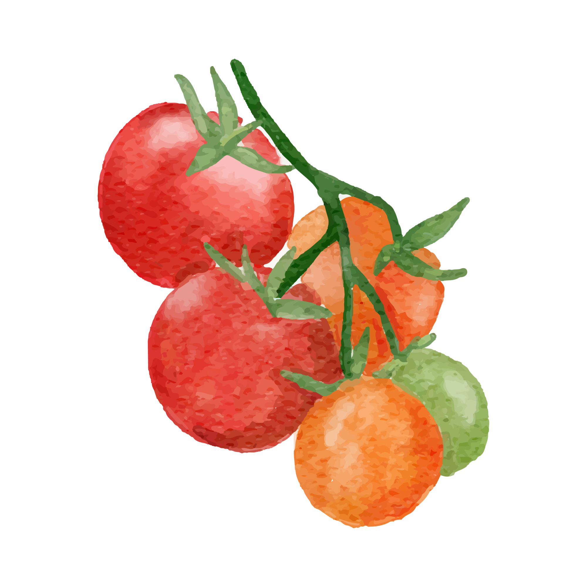 A digitally illustrated tomato and carrots with green leaves.