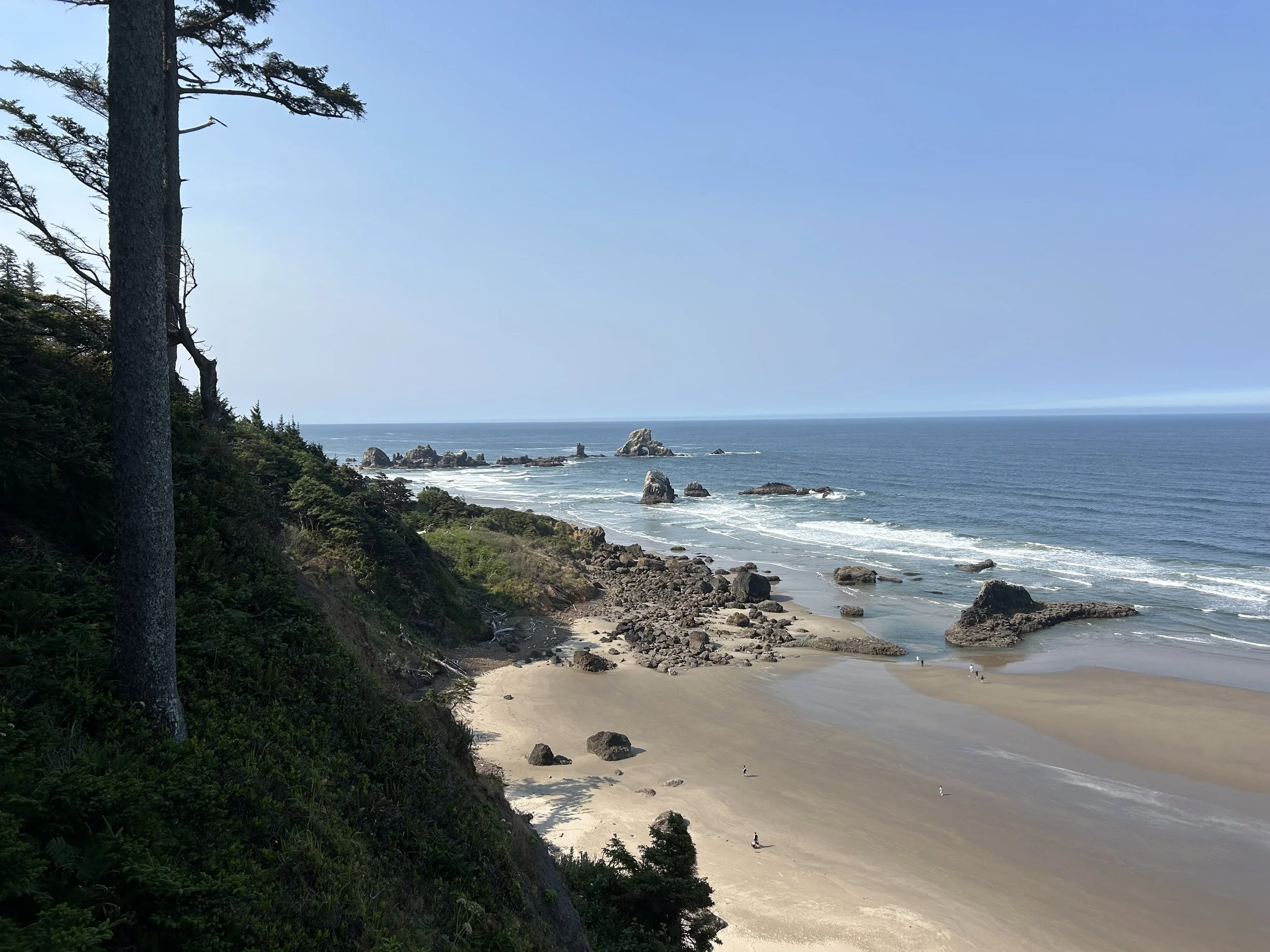 Coastal scene with a sandy beach, rocky shoreline, ocean waves, and a clear blue sky. Tall pine trees grow on a cliff overlooking the beach and ocean.