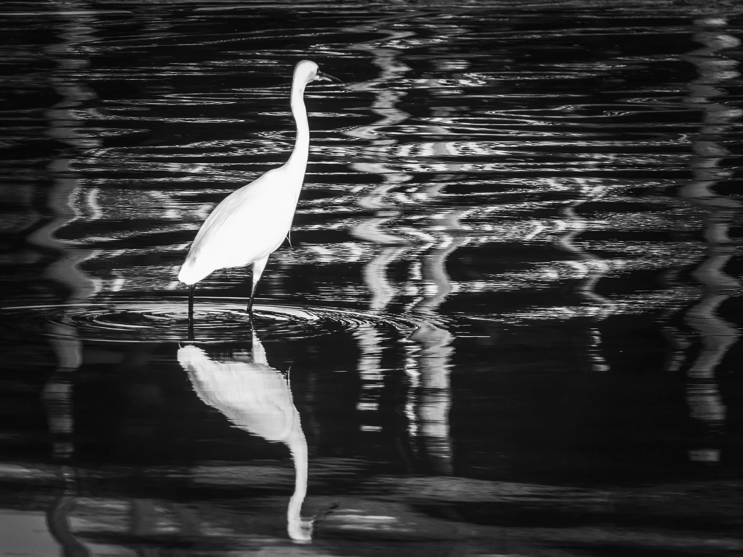 Equilibre