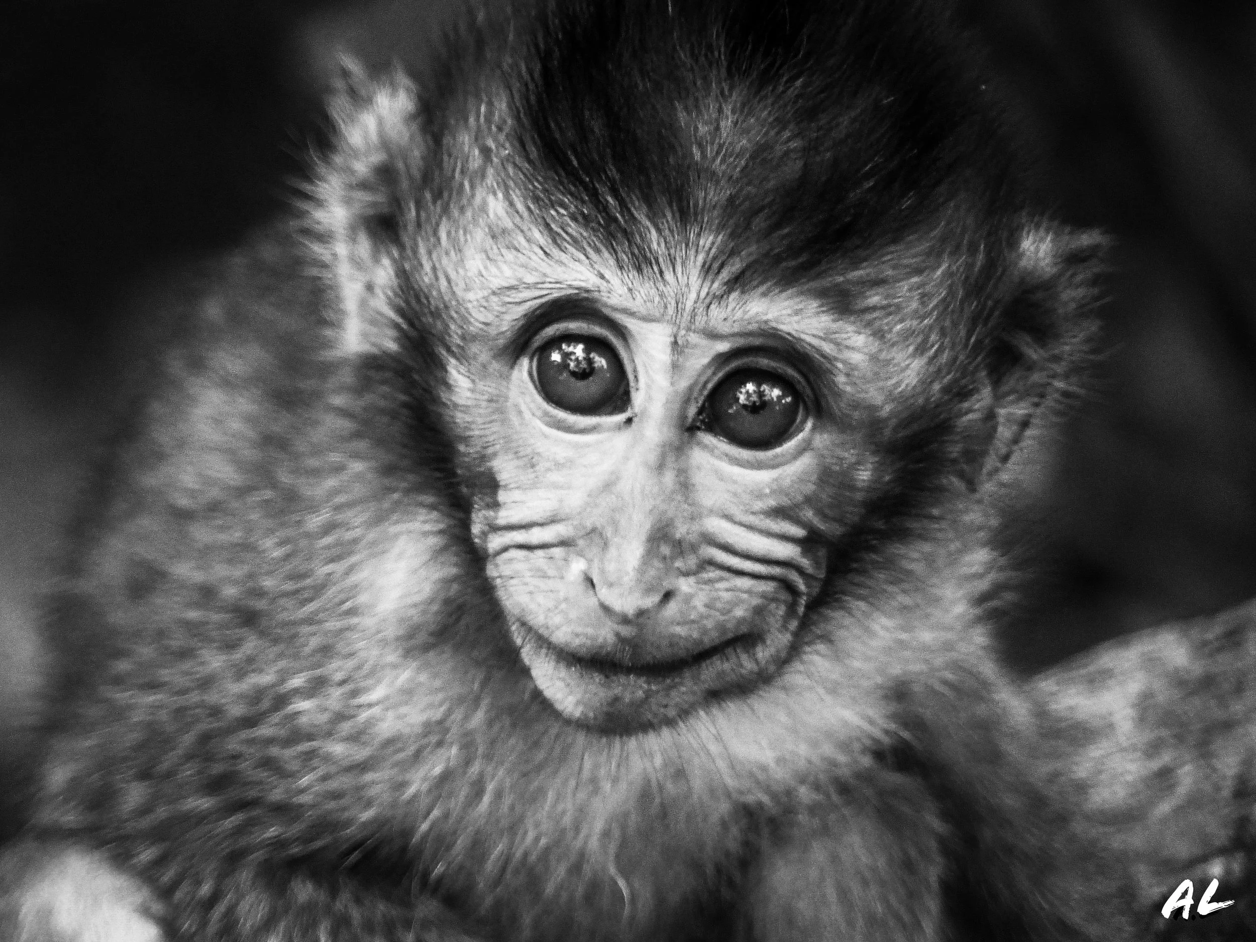 Le regard