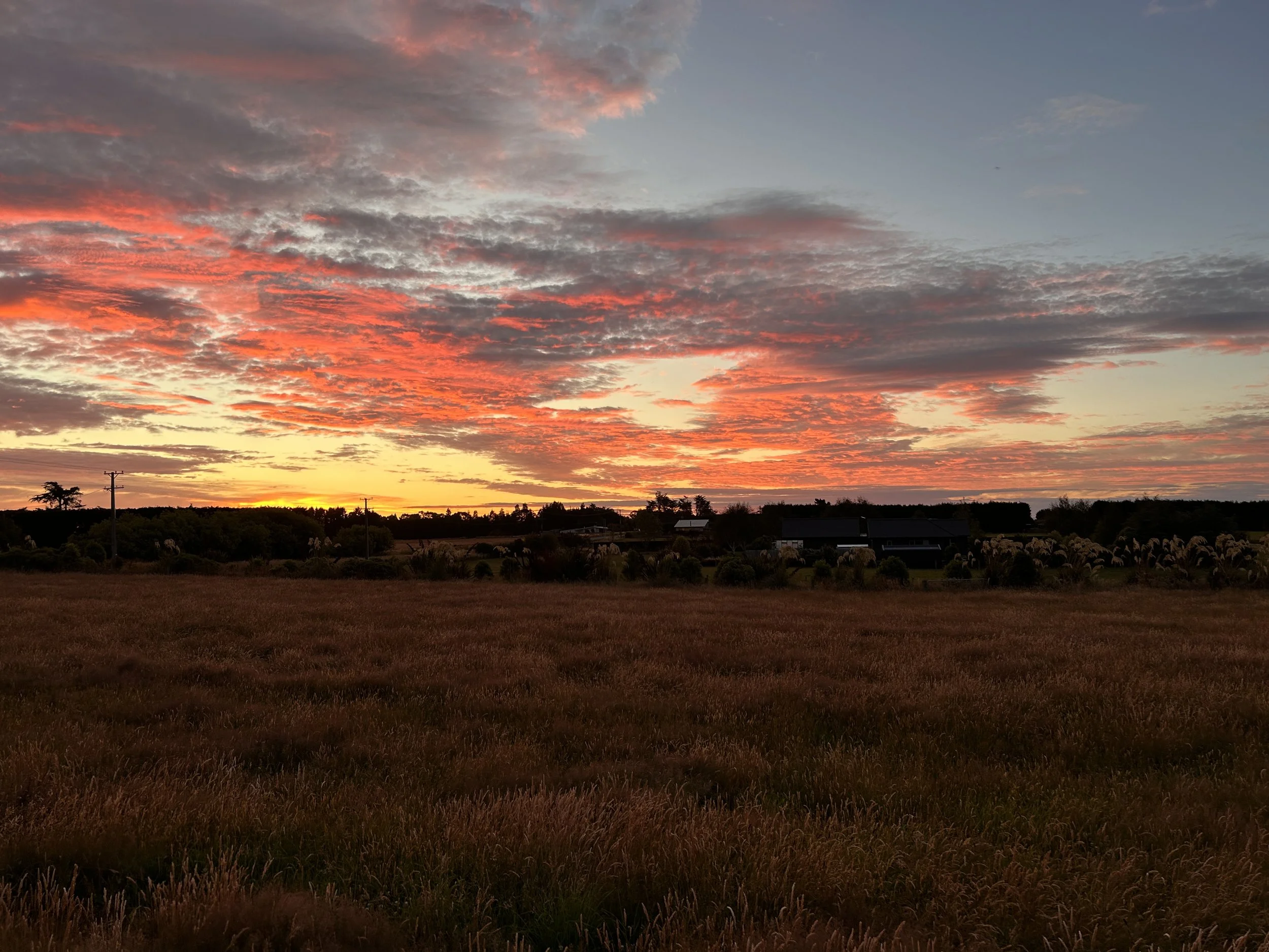 A sunset or sunrise sky with colorful clouds in shades of orange, pink, and gray over a rural landscape with trees, fields, power lines, and houses.