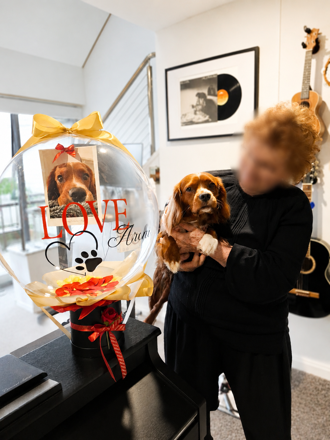 photo-dog-archie-balloon-valentines.png (Copy)