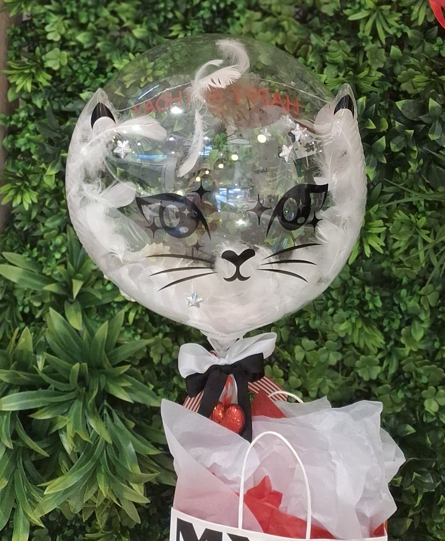 cat-detail-balloon.png
