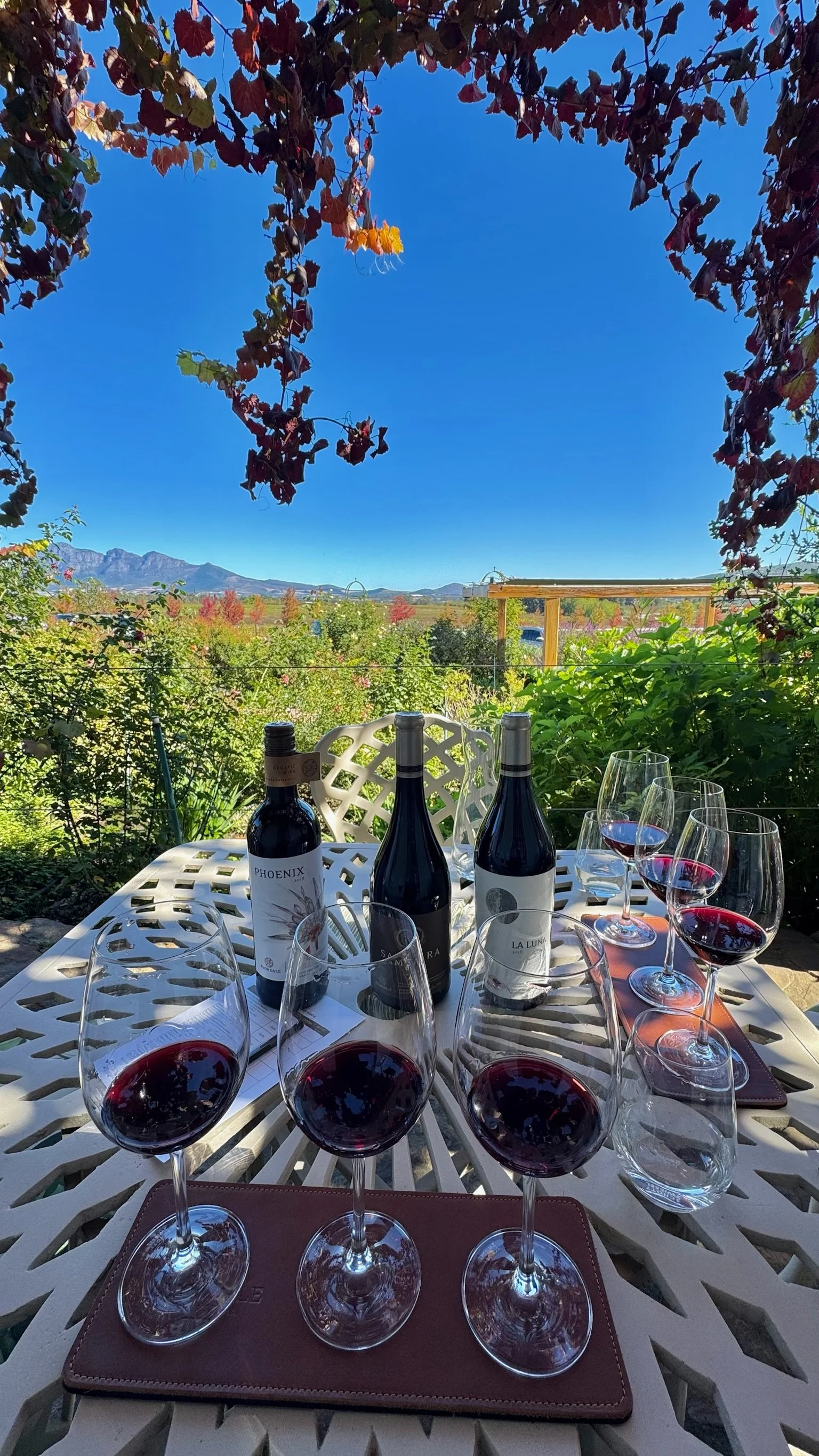 A table set with six glasses of red wine and three bottles of wine outdoors on a patio. The background shows lush greenery, mountains, and a clear blue sky with some trees and a pergola.