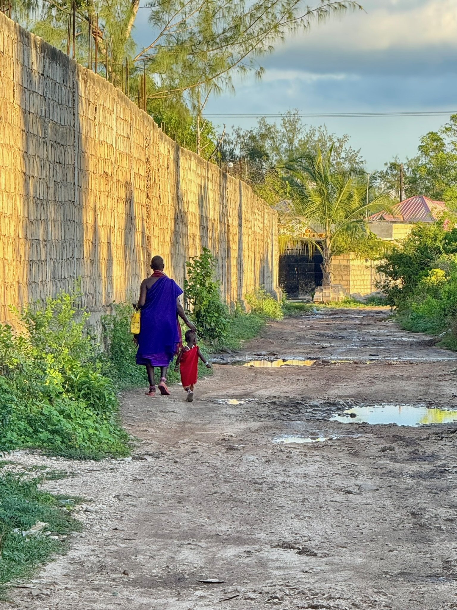 A woman and a child walking along a dirt road beside a tall, unfinished brick wall. The woman wears a purple dress and the child wears a red dress. There are puddles on the road and green plants on the side. In the background, there are trees and a house with a pink roof.