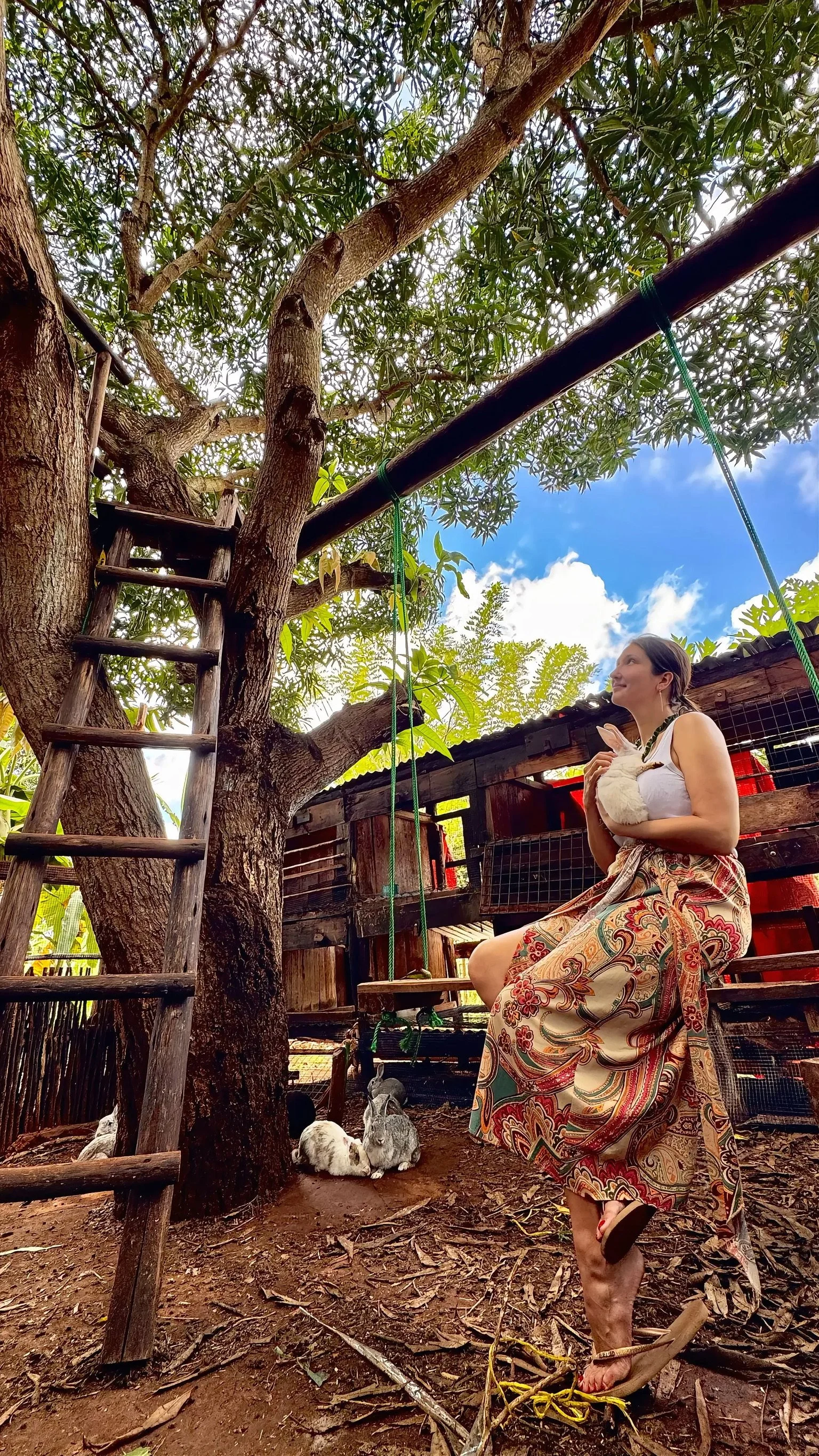 A woman sitting outdoors on a wooden structure, holding a white rabbit, with a tree and a blue sky with clouds in the background. There are small rabbits on the ground near her.