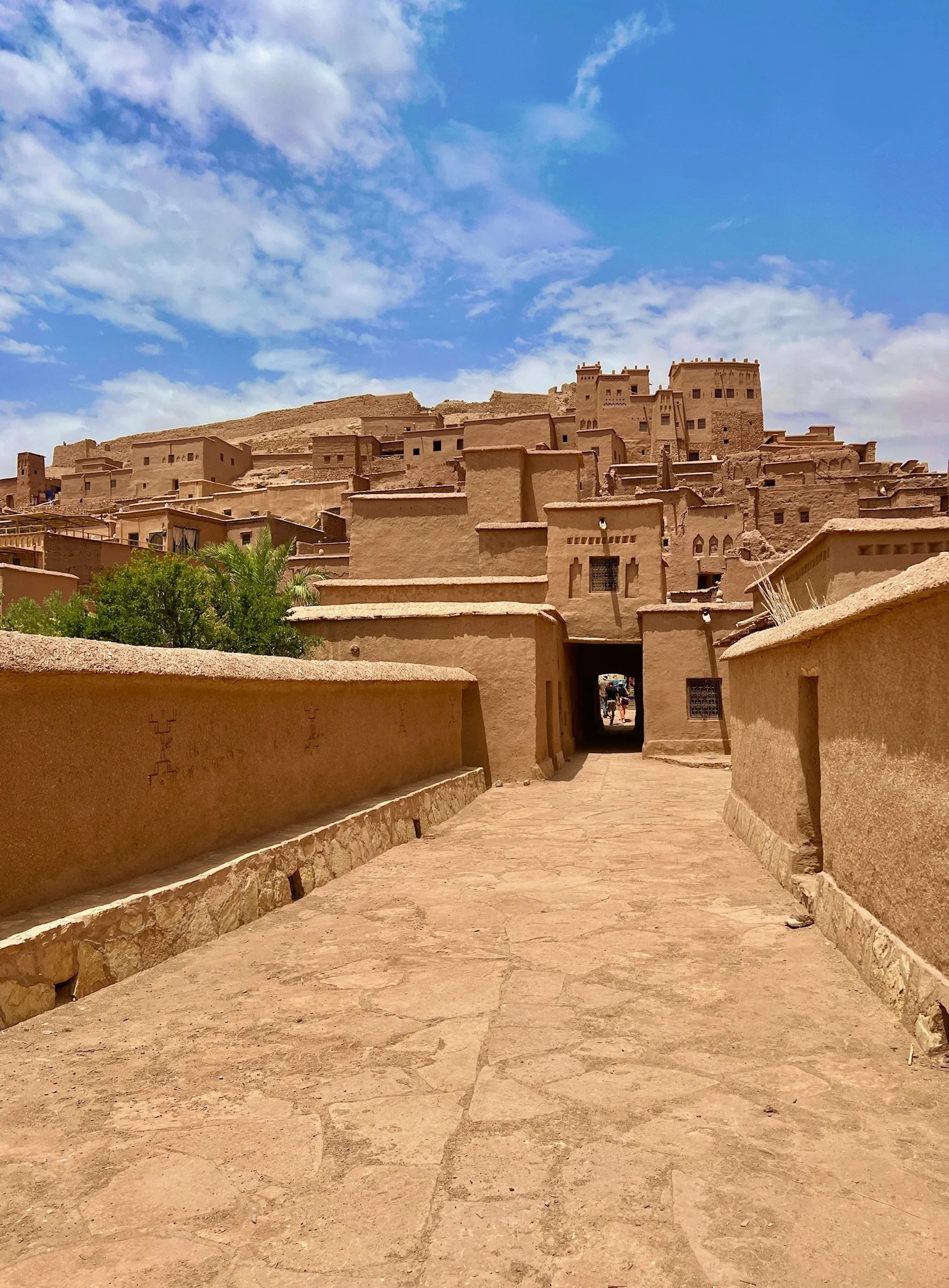 View of an ancient desert town with mud-brick buildings, winding streets, green plants, and hills in the background under a partly cloudy sky.
