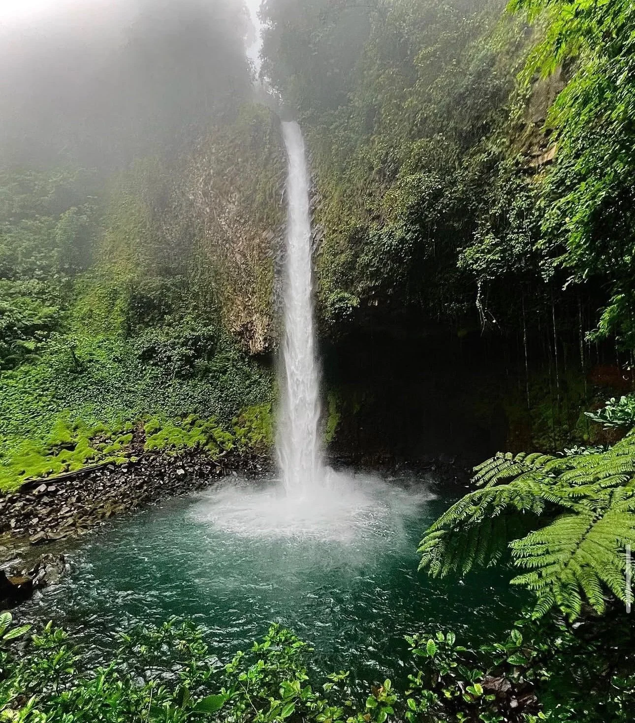 A tall waterfall streaming into a turquoise pool surrounded by lush green foliage and moss-covered rocks in a foggy forest setting.