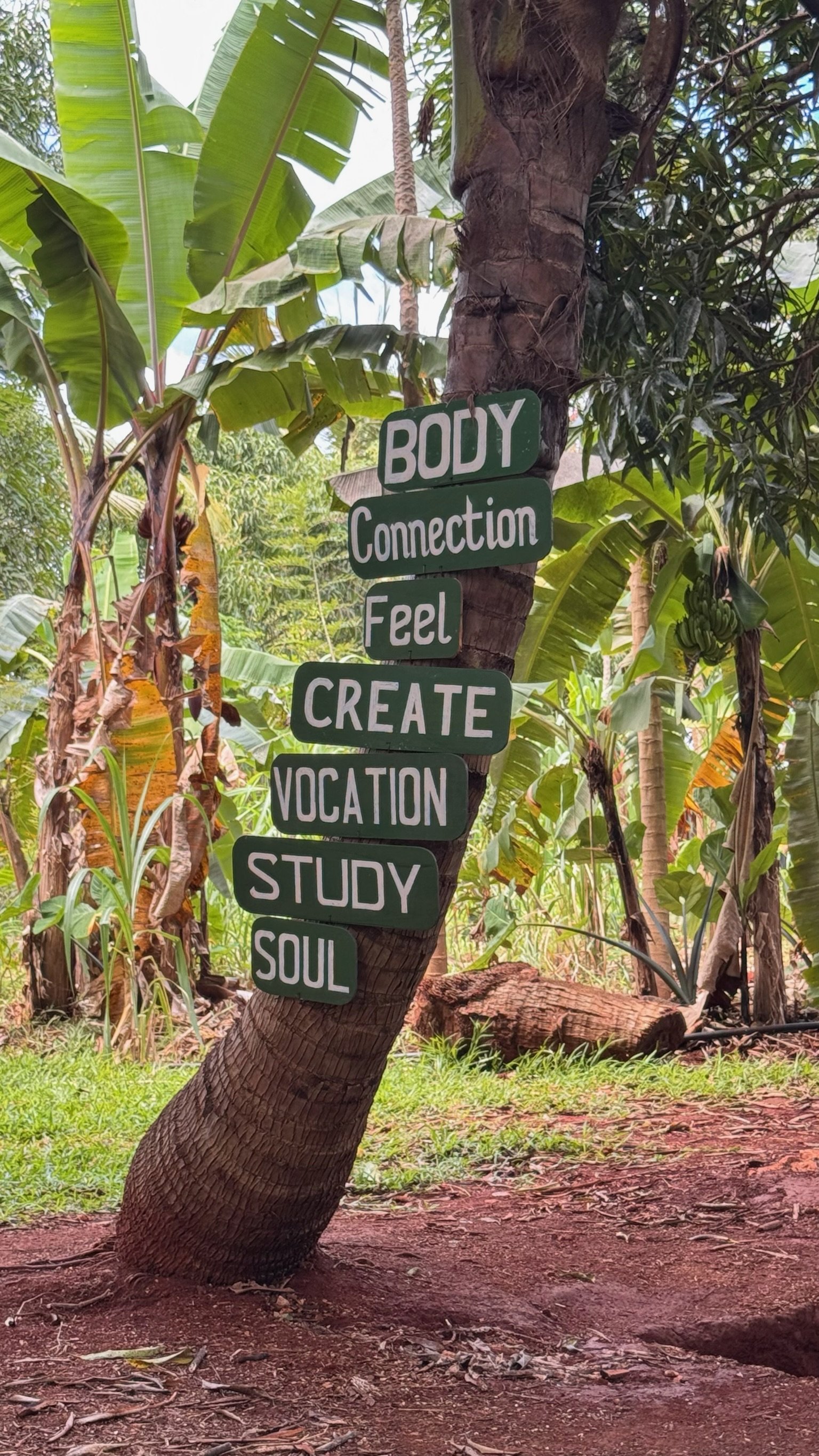 A sign hanging from a tree in a lush forest with tropical plants. The sign has multiple words including 'BODY', 'Connection', 'Feel', 'CREATE', 'VOCATION', 'STUDY', 'SOUL'. The sign appears to be made of wood or similar material and is painted in green and white.