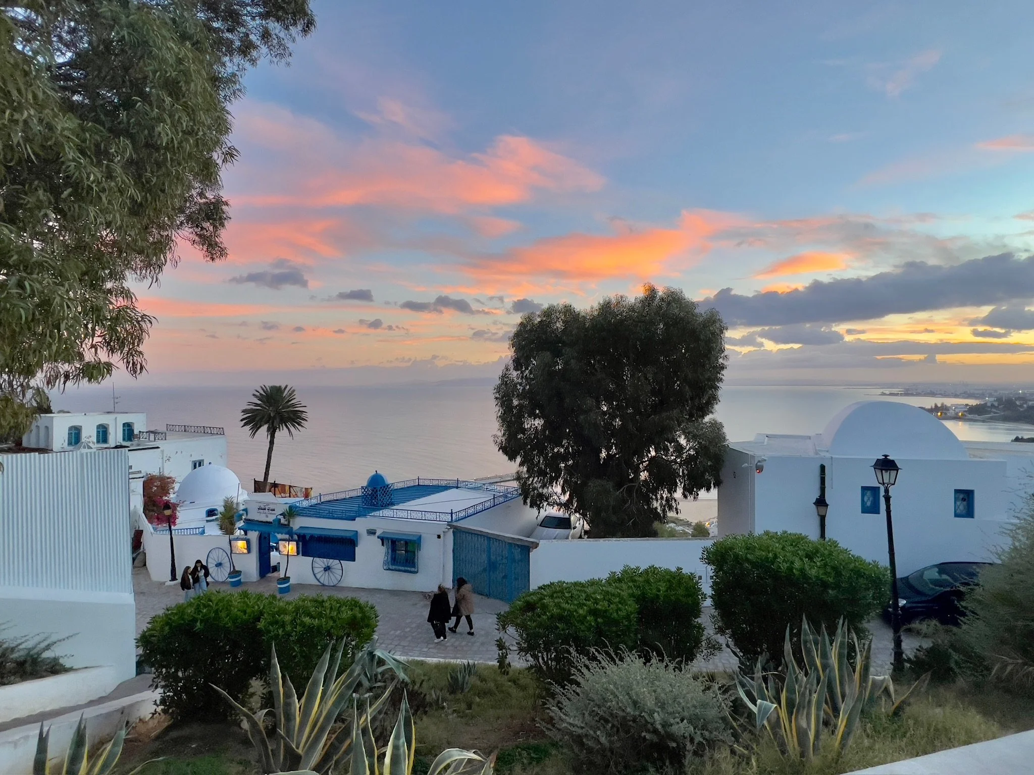 Scenic view of a sunset over the ocean with pink and blue clouds, framed by trees and white buildings with blue accents in a coastal town.
