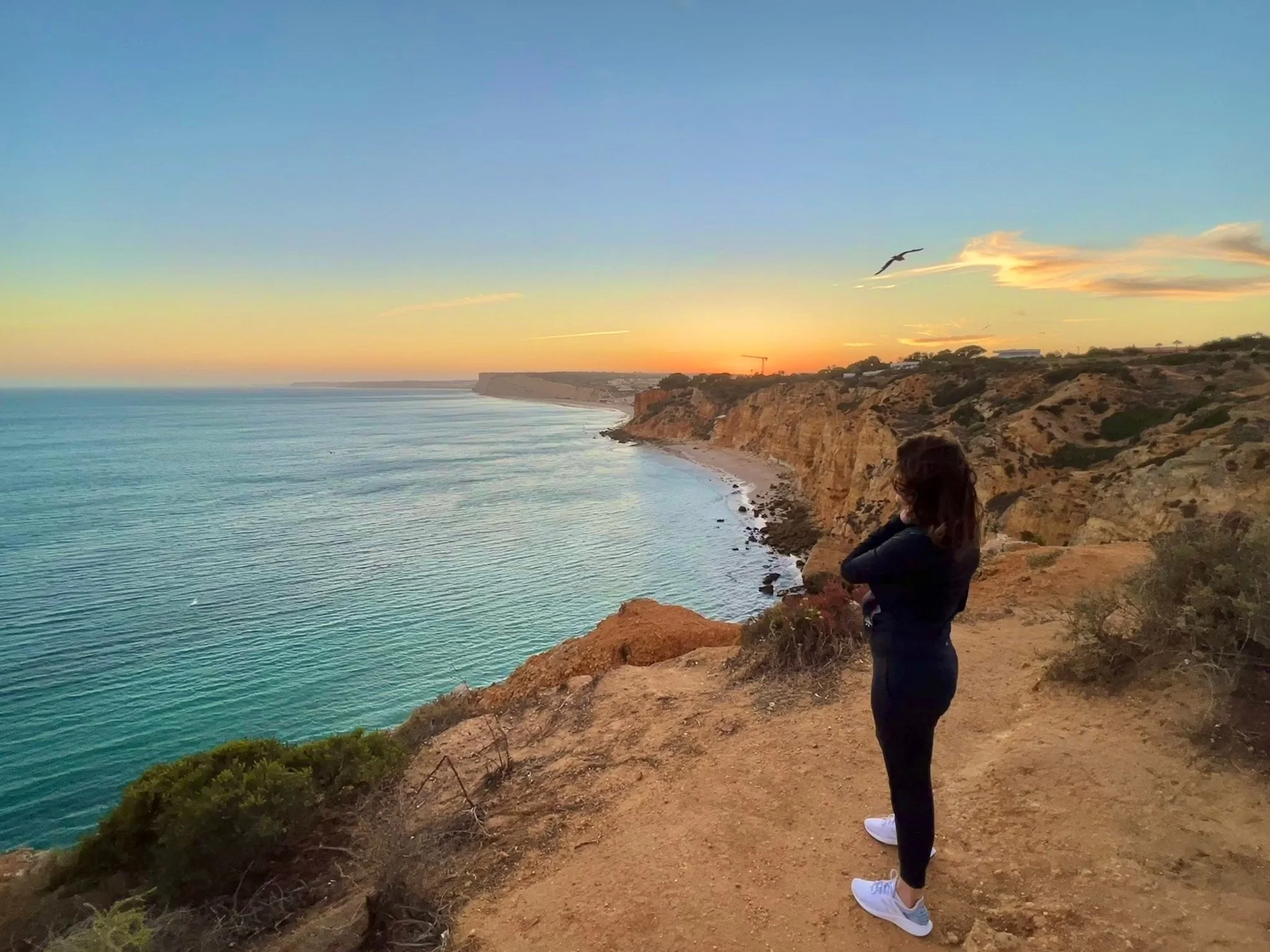 A woman standing on a cliff overlooking the ocean during sunset, with birds flying in the sky.