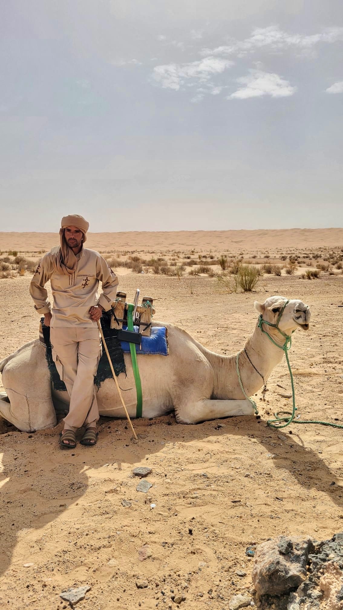 Man in desert stand next to a camel that is sitting on the sand. The camel has a saddle with supplies. The man is dressed in traditional desert attire, including a head covering, and holds a stick. The landscape is arid with sparse vegetation and a cloudy sky.