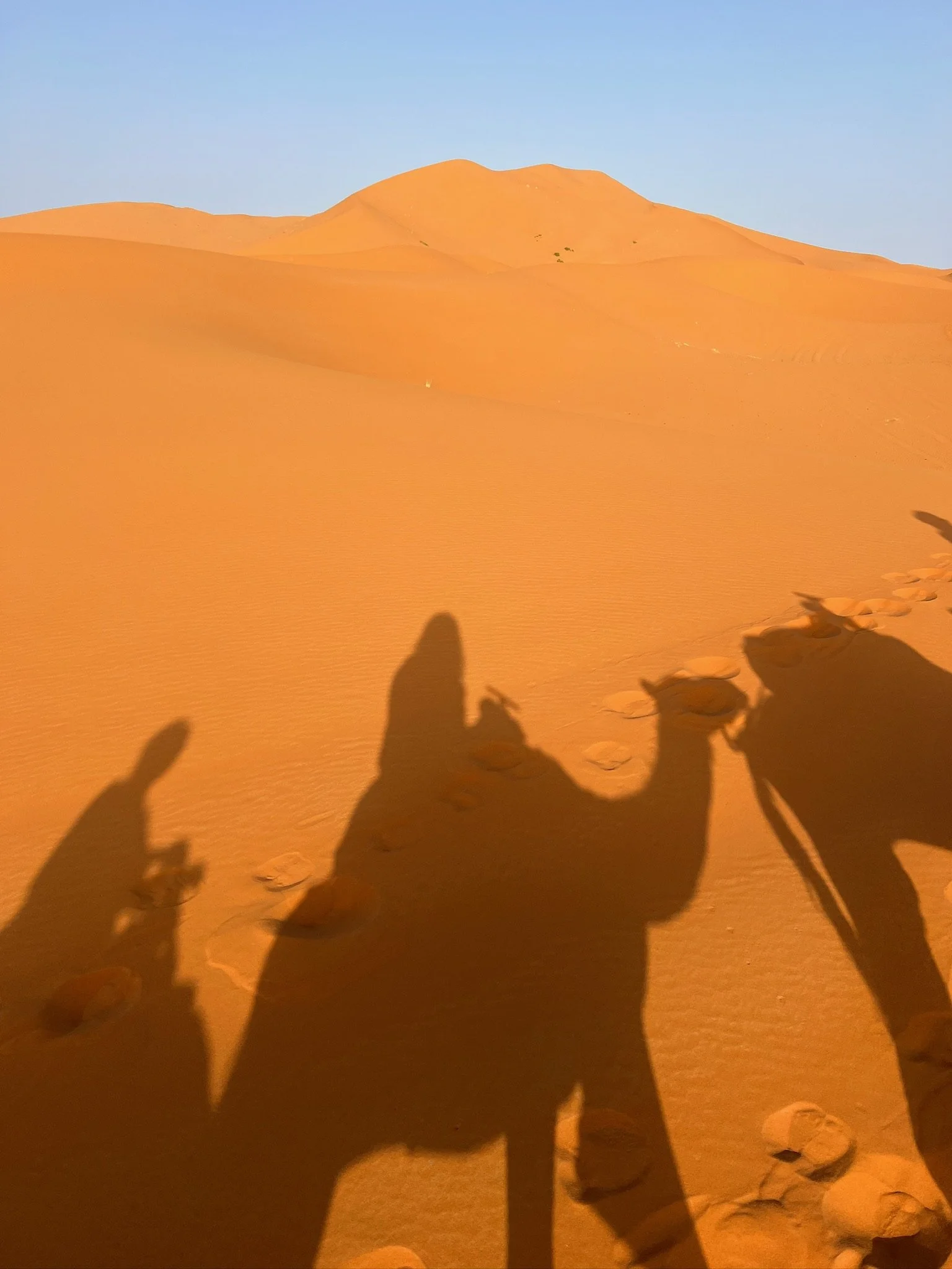 Shadows of a person riding a camel in a sandy desert during sunset or sunrise. There are multiple camels and footprints in the sand.